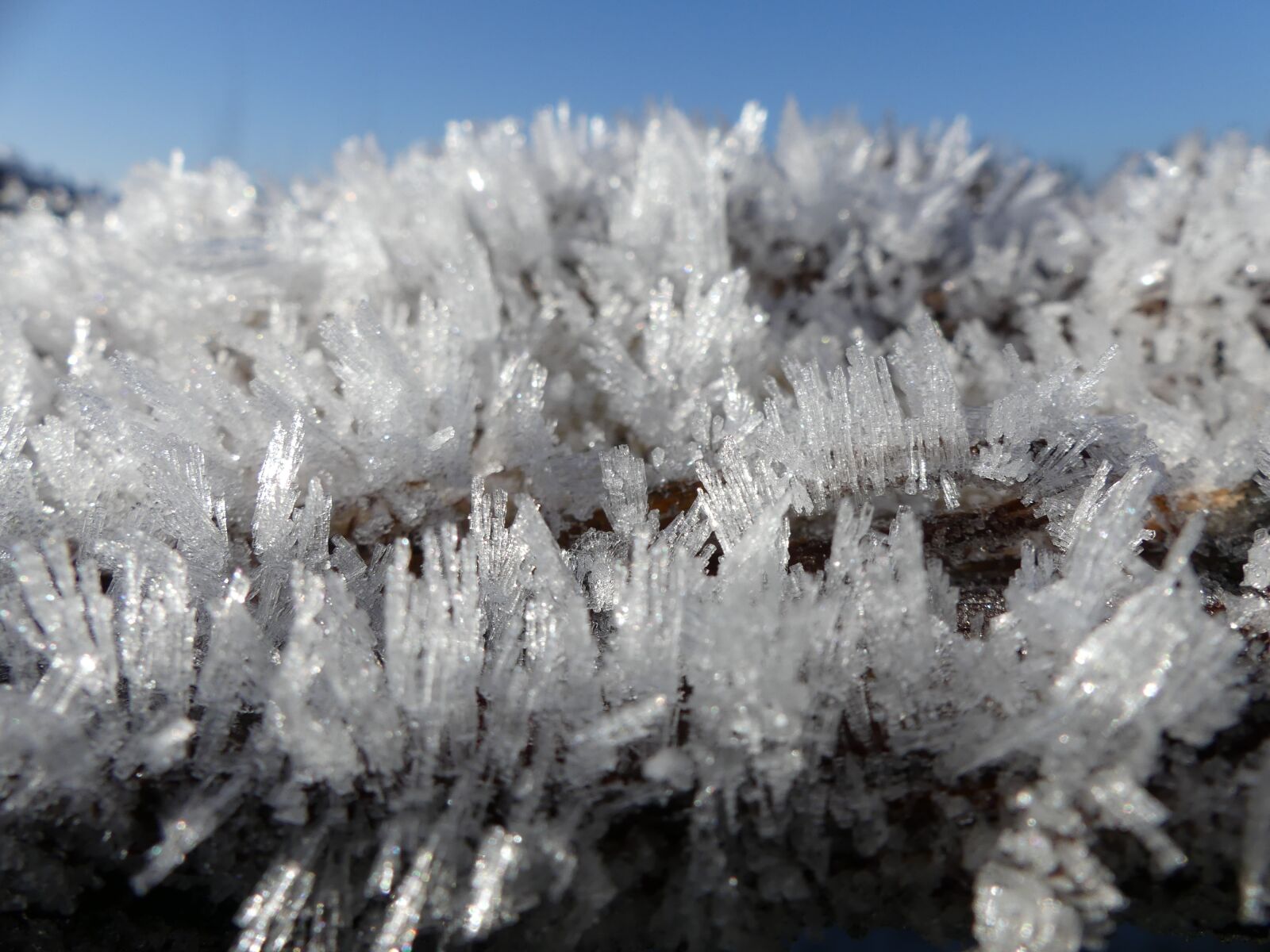 Panasonic Lumix DMC-FZ300 sample photo. Ice crystal, winter, ice photography