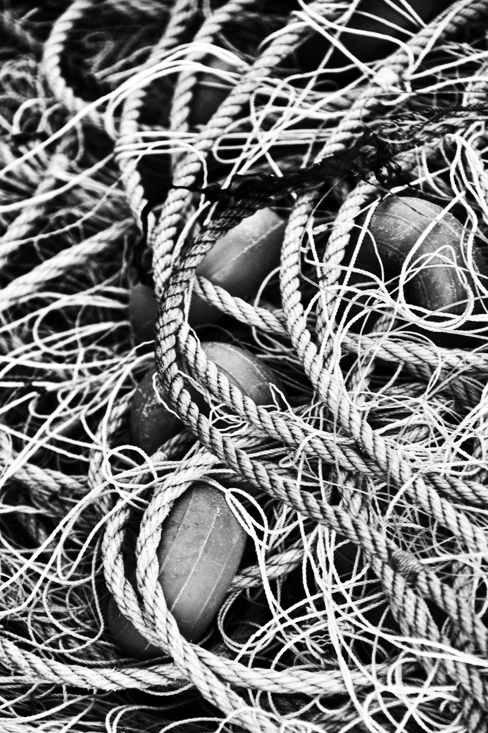 Nikon D40 sample photo. Fishing, networks, arte x photography
