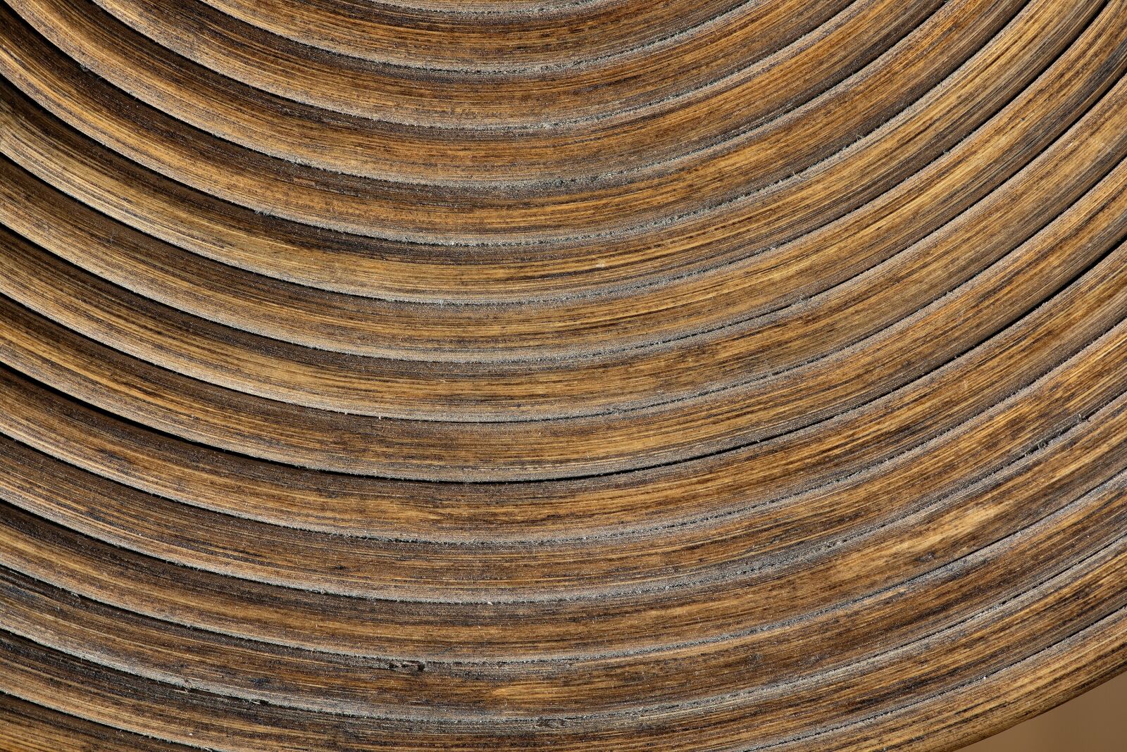 Nikon D750 sample photo. Wood, brown, rings photography