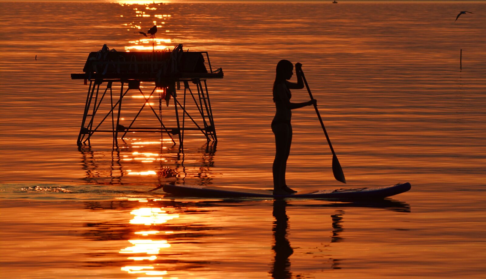 Nikon D5200 sample photo. Lake balaton, summer, in photography