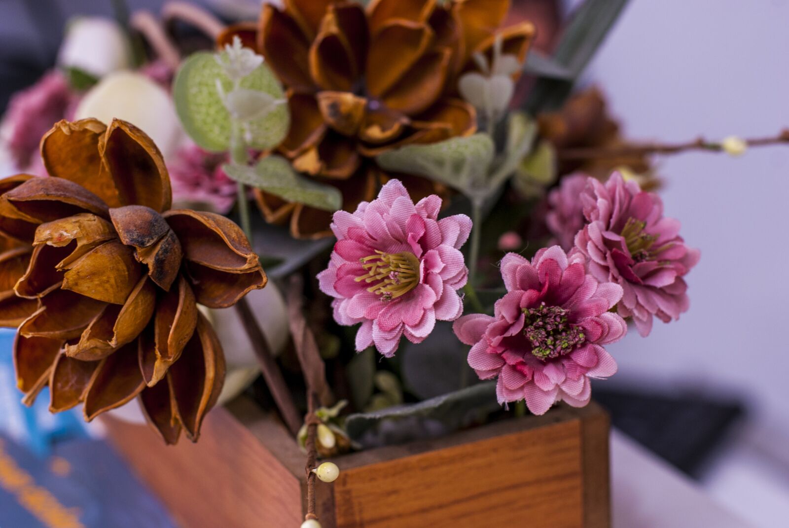 Nikon D60 sample photo. G rbela, flower gerbel photography