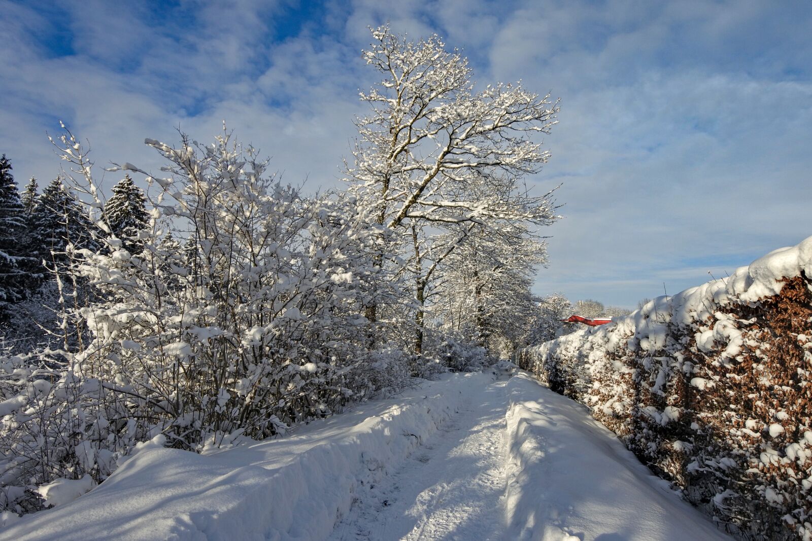 Nikon 1 J5 + Nikon 1 Nikkor VR 6.7-13mm F3.5-5.6 sample photo. Snow landscape, winter, wintry photography