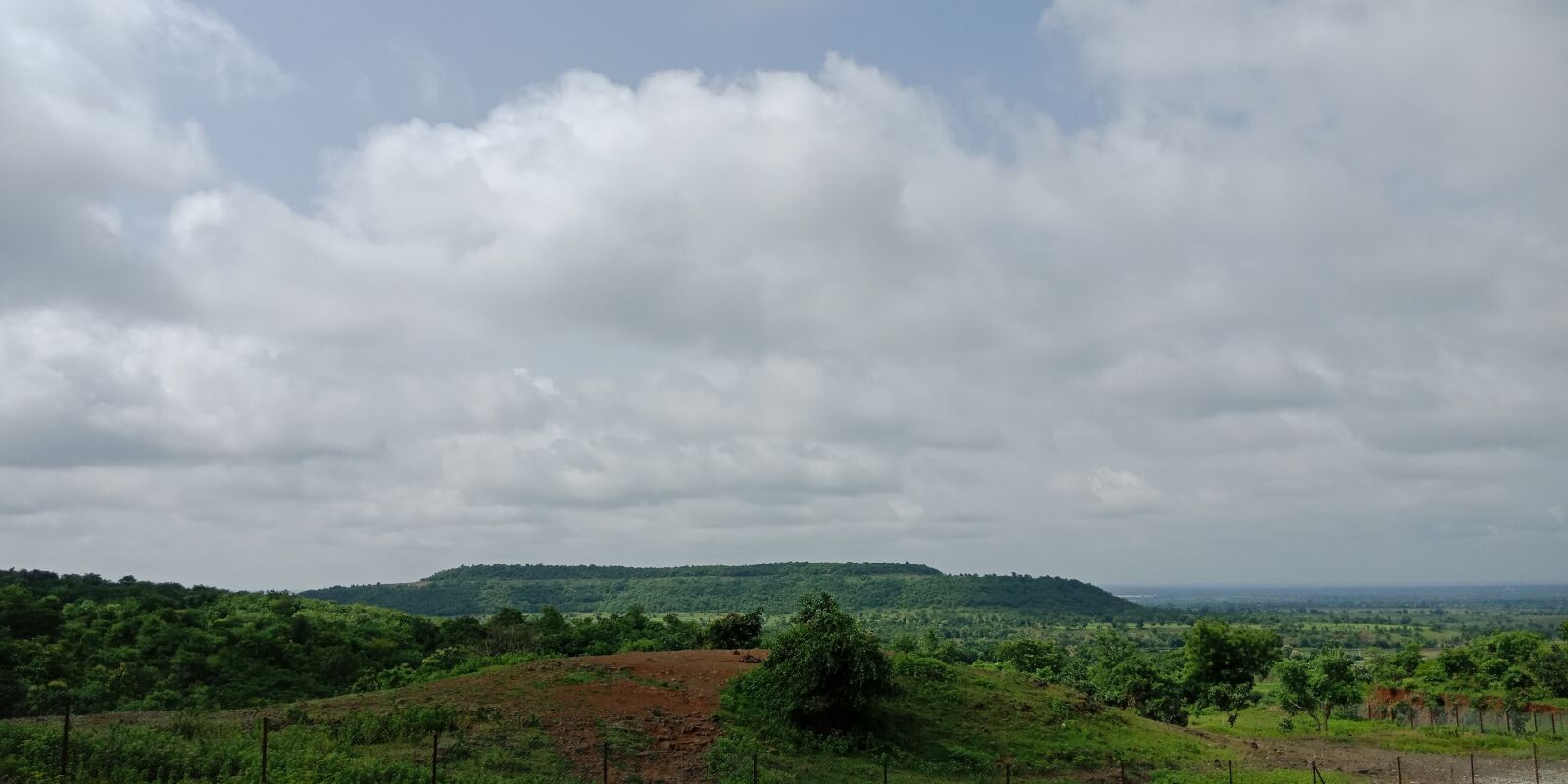 OPPO F5 sample photo. Scenery, nature, greenery photography