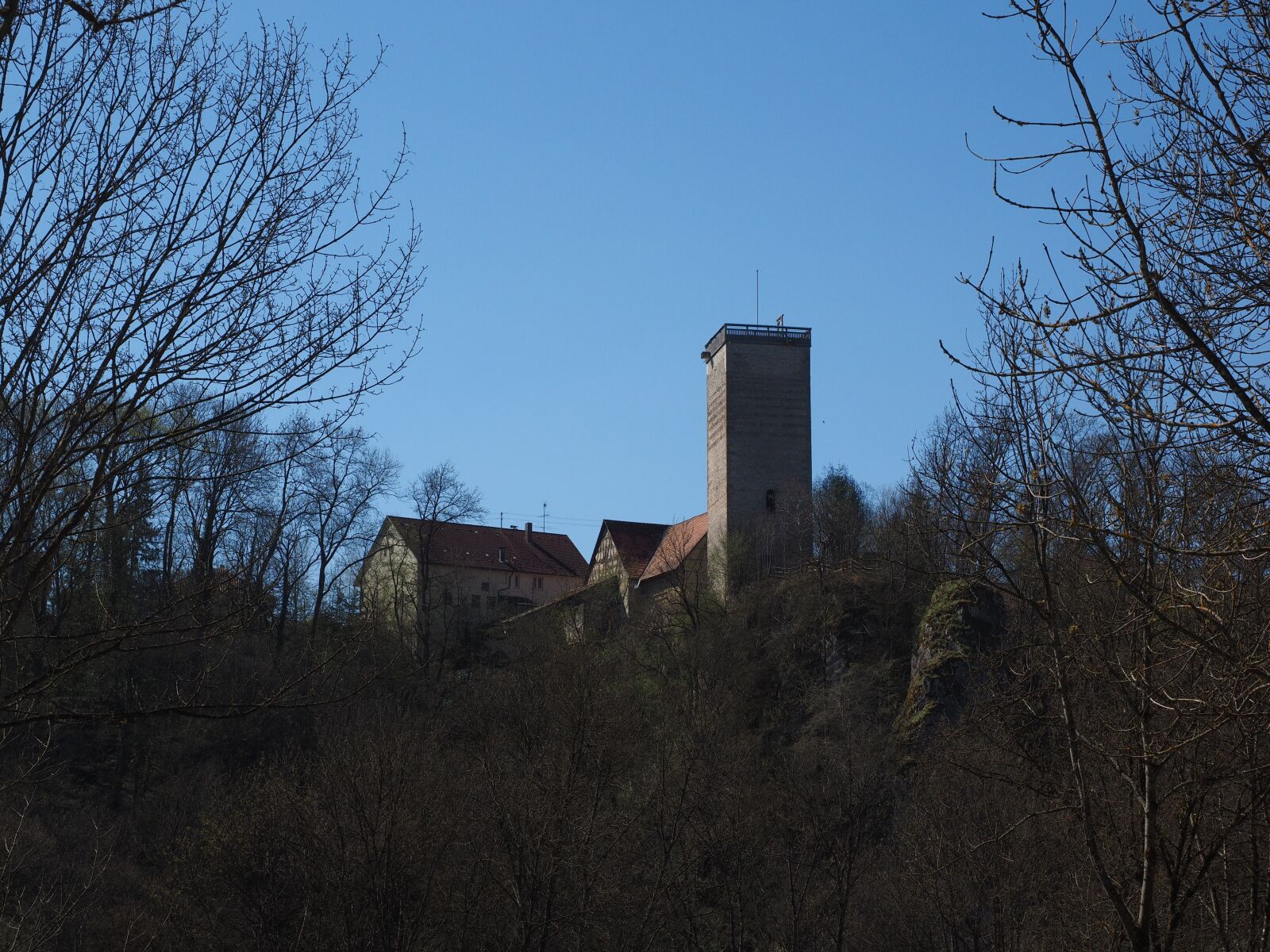 Olympus OM-D E-M1 + Olympus M.Zuiko Digital ED 12-40mm F2.8 Pro sample photo. Reichenstein castle, castle, reichenstein photography