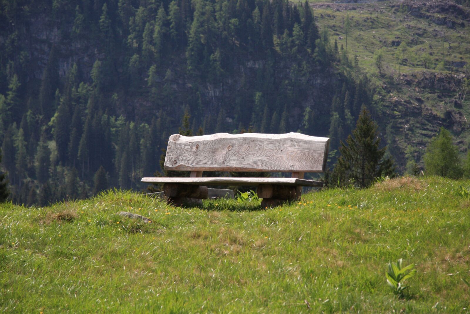 Canon EOS 40D sample photo. Rest, bank, sit photography