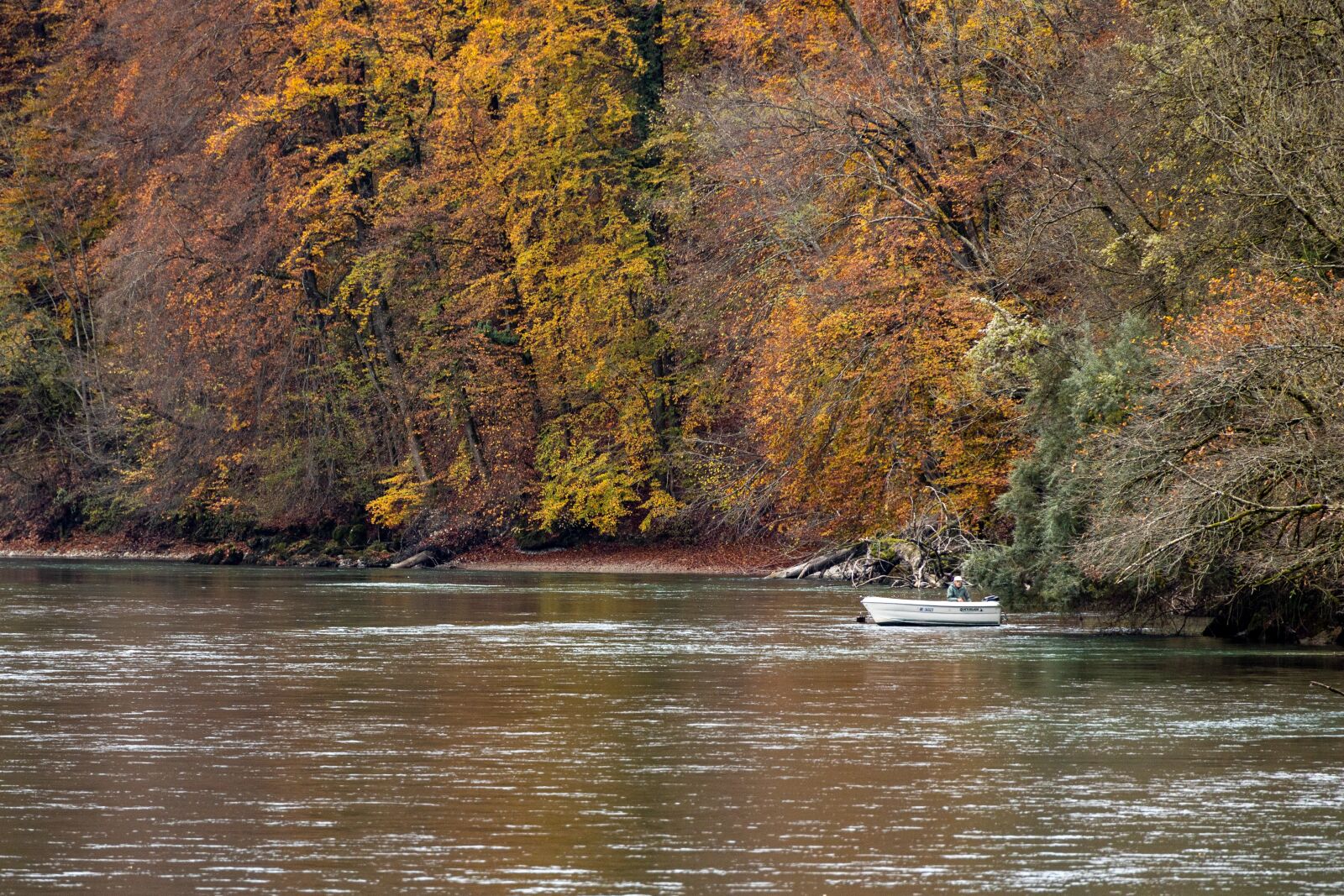 Canon EOS R sample photo. Aare, fisherman, boat photography
