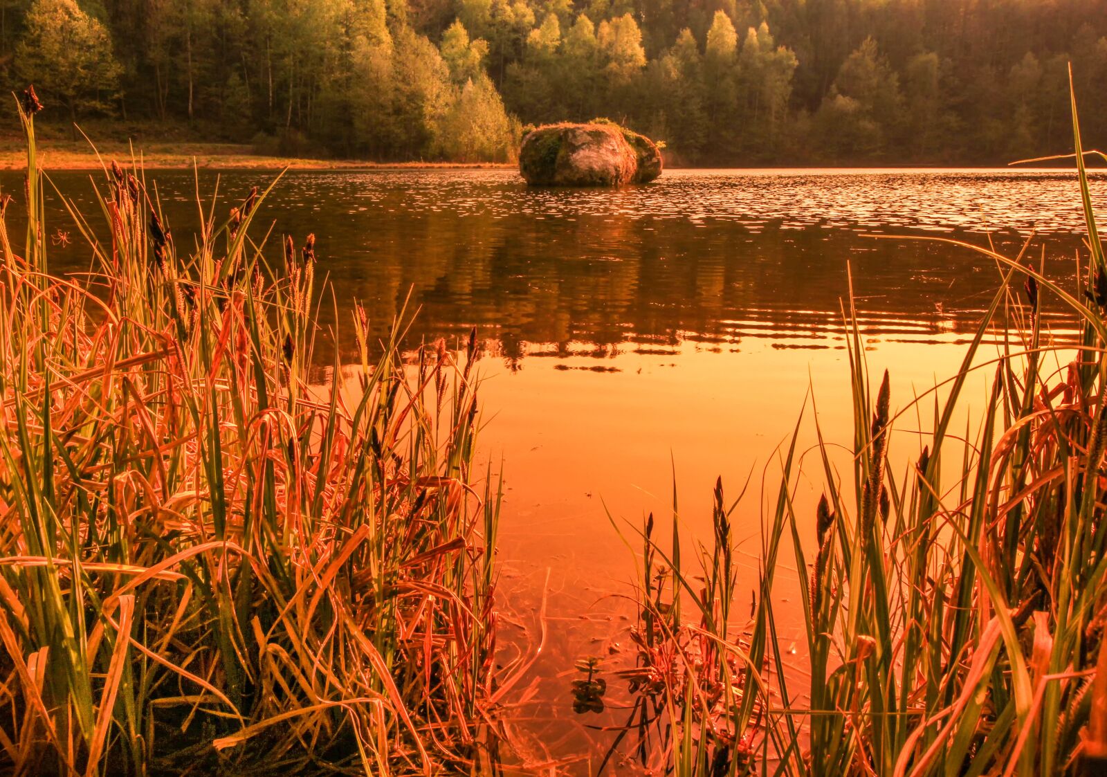 Canon EOS 60D sample photo. Waters, nature, krufter waldsee photography