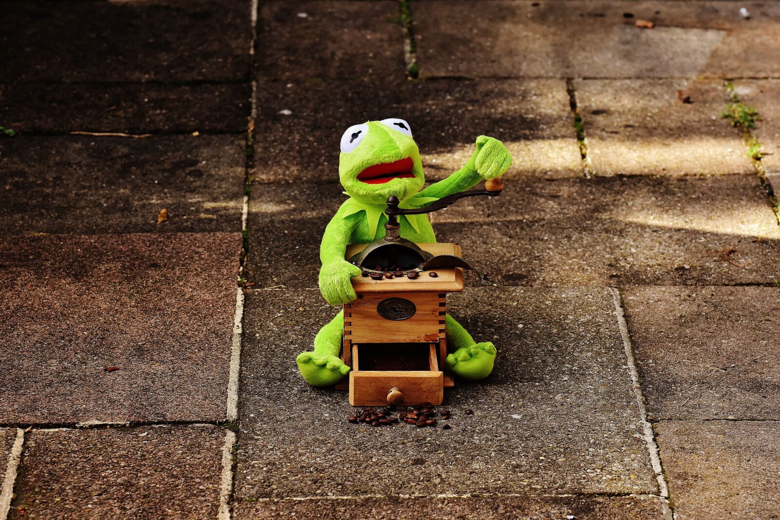 Nikon D7200 sample photo. Kermit, frog, grinder photography