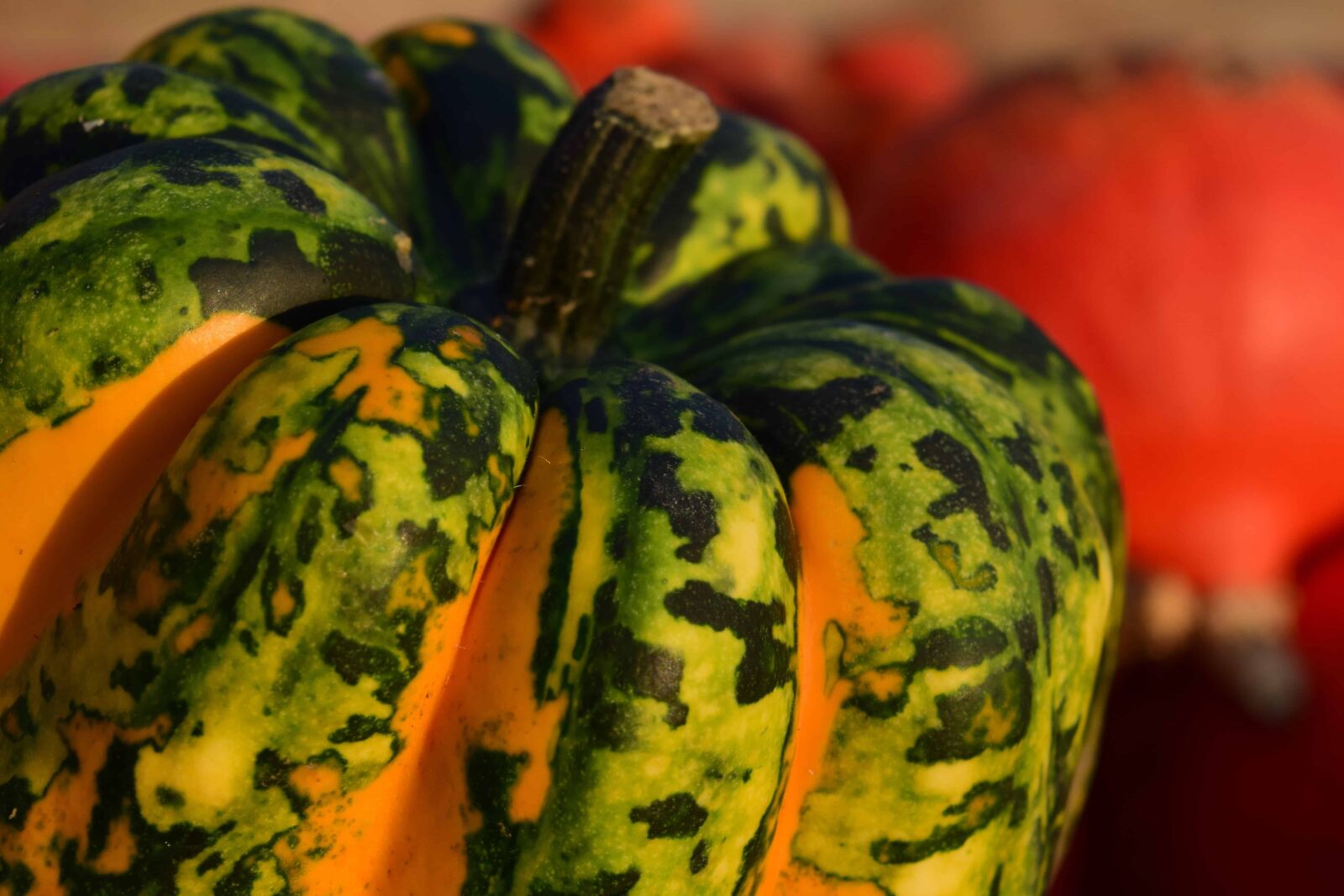 Nikon D3300 sample photo. Pumpkin, food, vegetable, nature photography