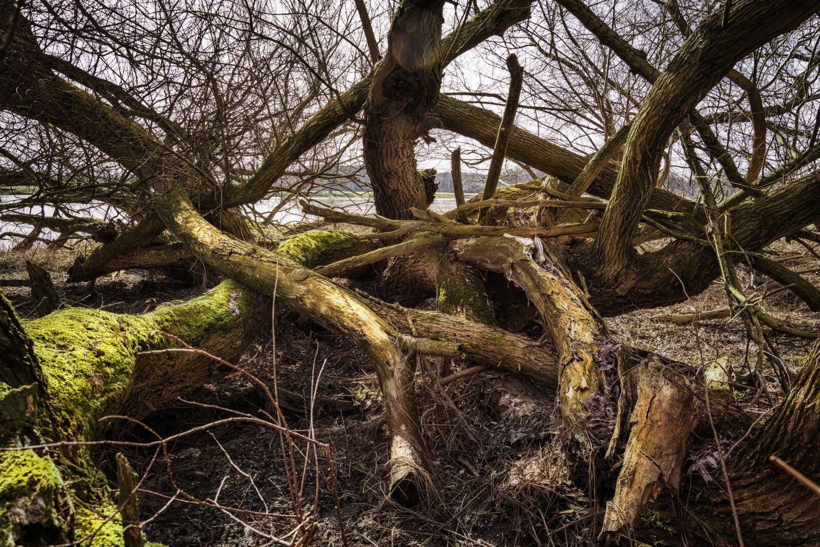 Nikon D7200 sample photo. Elbe, elbufer, river photography