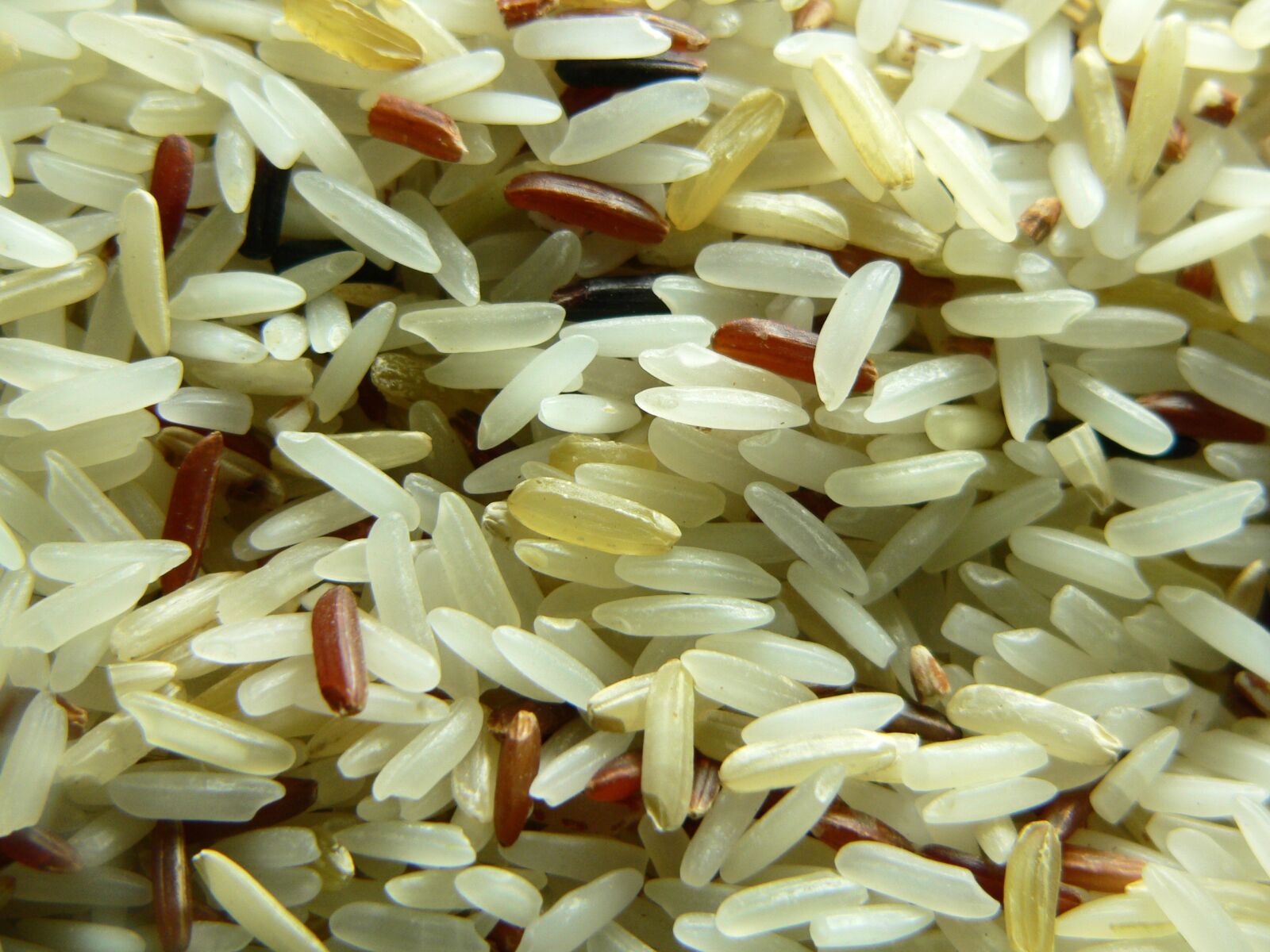 Panasonic DMC-FZ20 sample photo. Rice, seed, food photography