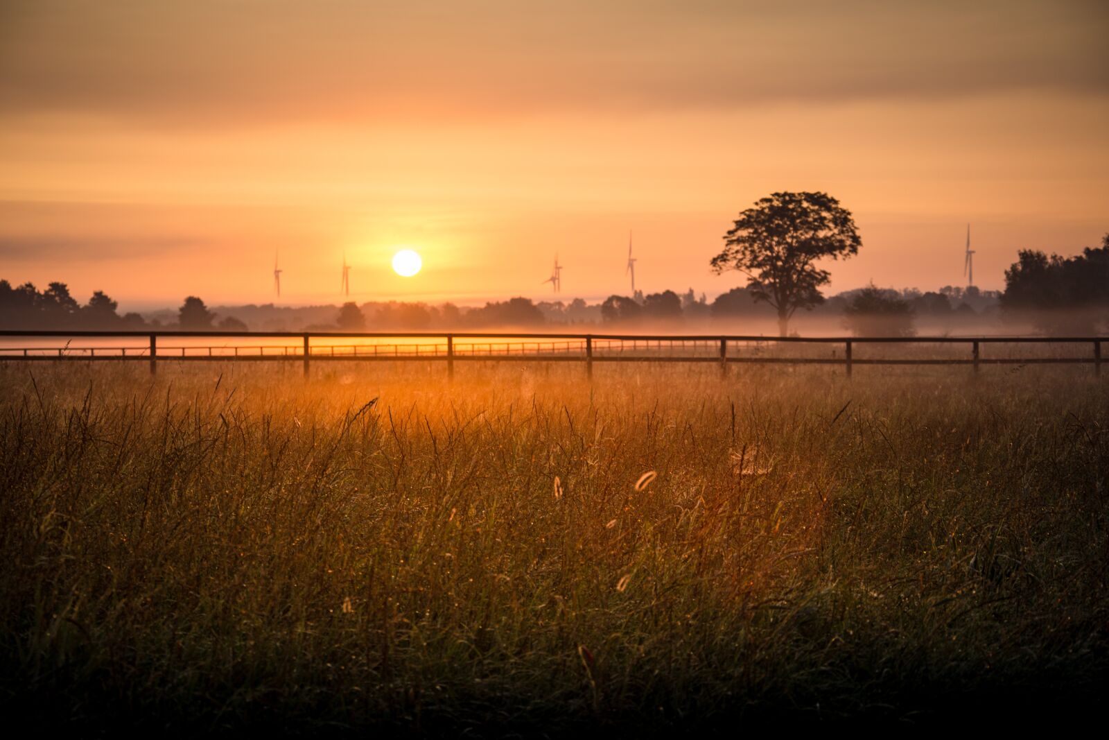 Nikon D7200 sample photo. Sunrise, mood, morgenstimmung photography