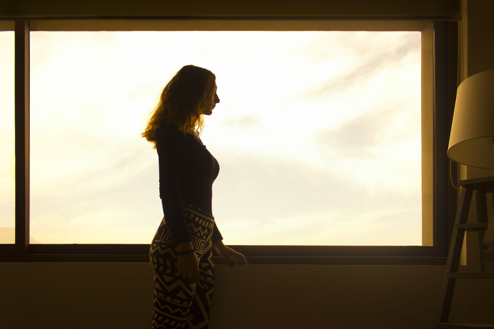 Canon EOS 600D (Rebel EOS T3i / EOS Kiss X5) sample photo. Silhouette, window, decoration photography