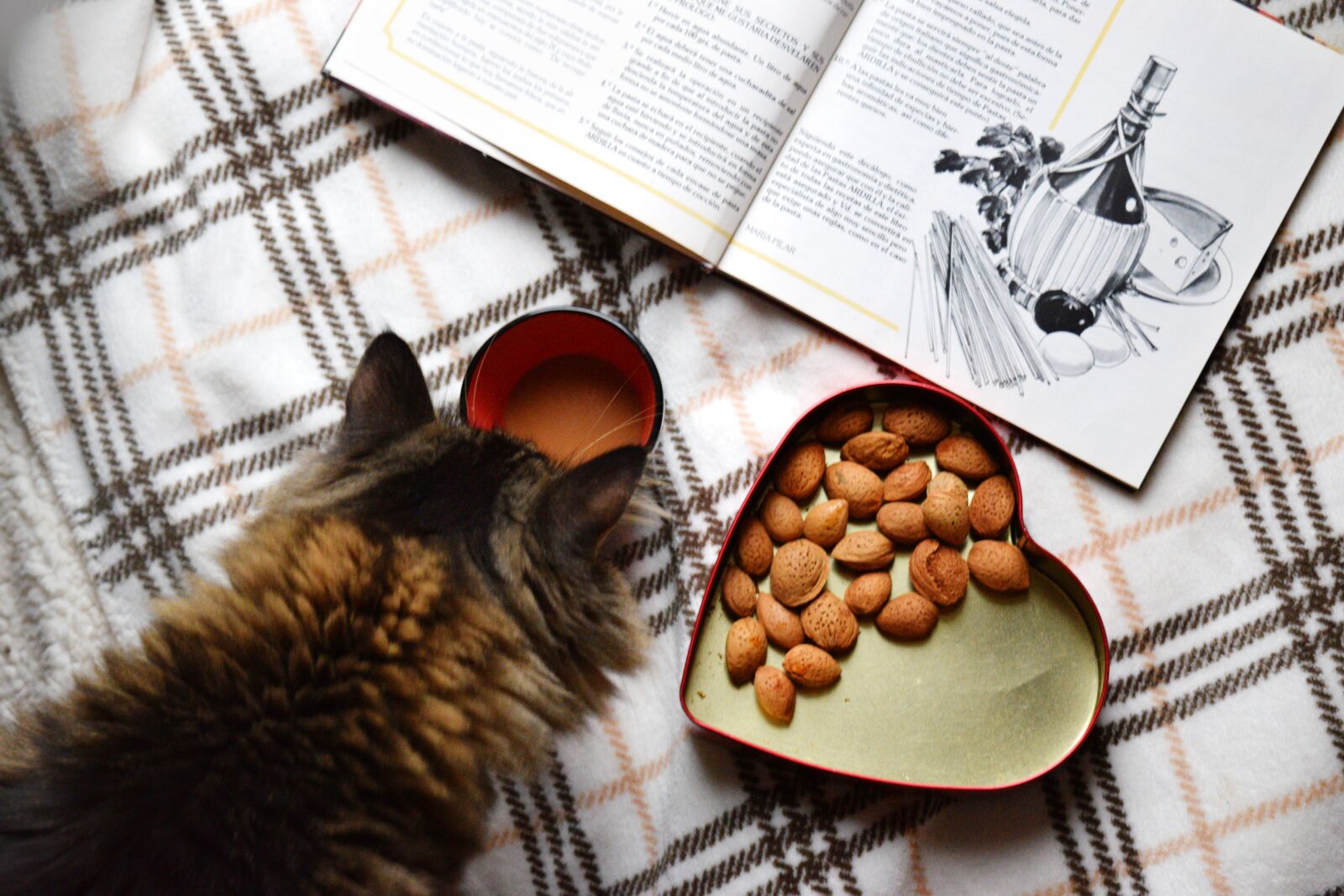 Nikon D3300 sample photo. Food flat lay, morning photography