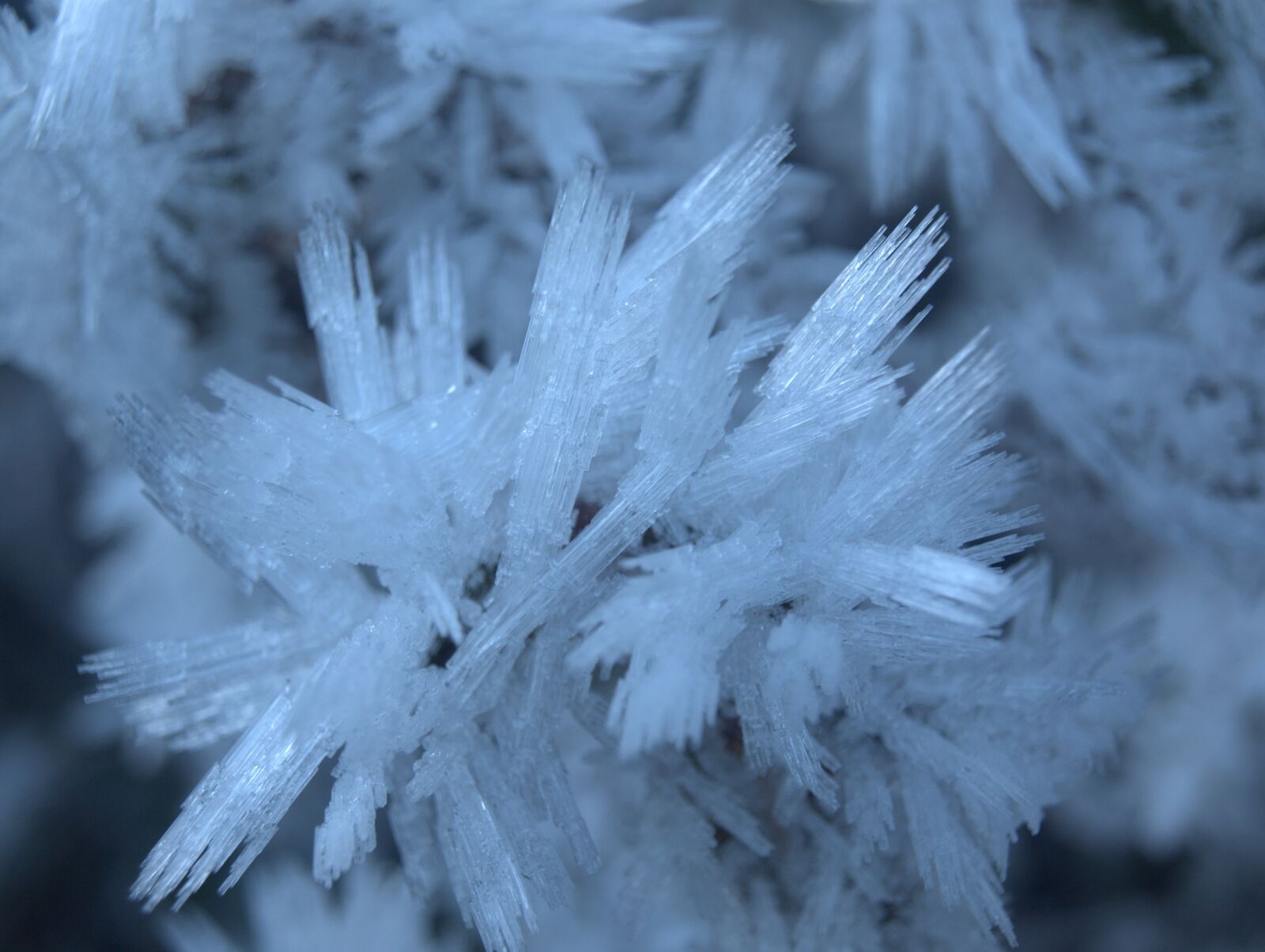 Olympus E-520 (EVOLT E-520) sample photo. Crystals, frost, winter photography