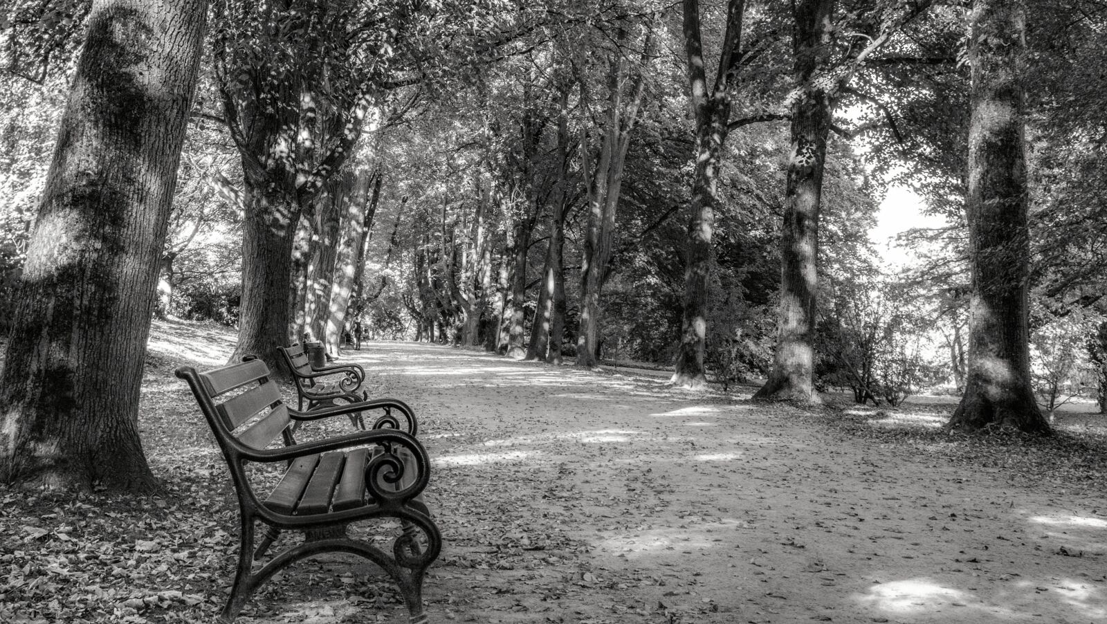 Canon EF-S 18-55mm F4-5.6 IS STM sample photo. Park, bench, blackandwhite photography
