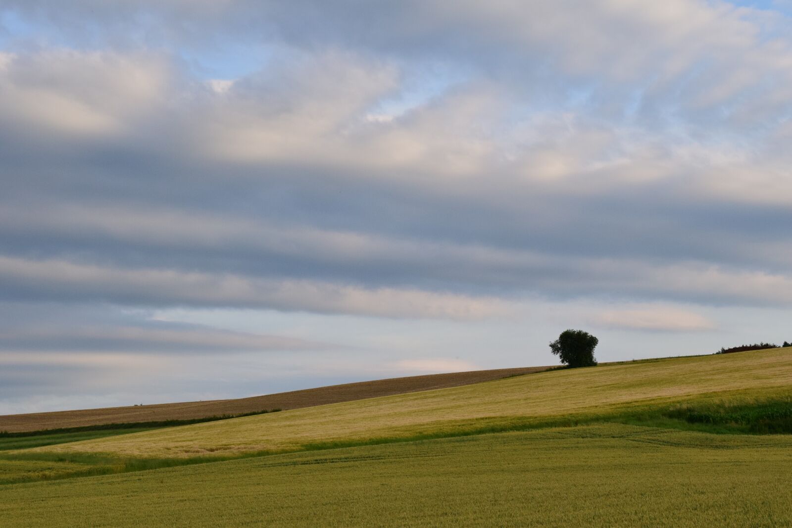 Nikon D3300 sample photo. Sky, clouds, blue photography