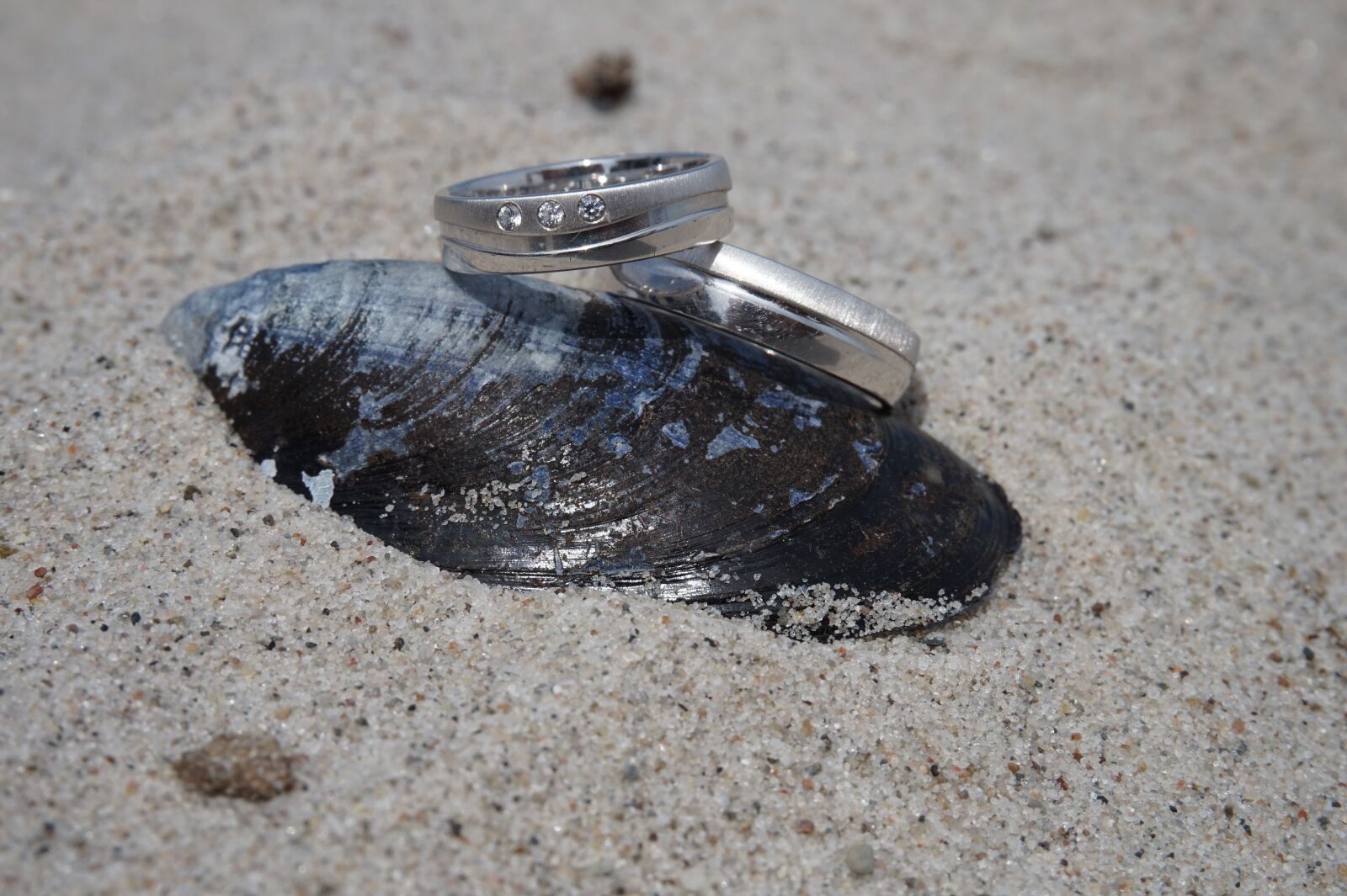 Sony Alpha a5000 (ILCE 5000) sample photo. Rings, wedding, wedding rings photography