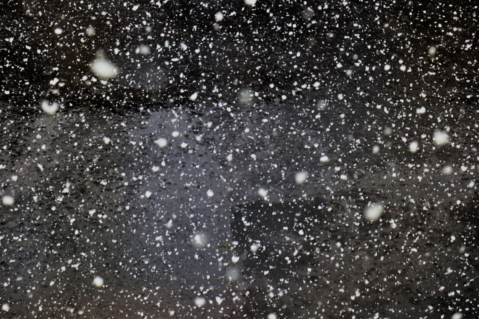 Canon EOS M6 sample photo. Snow, spring, april photography