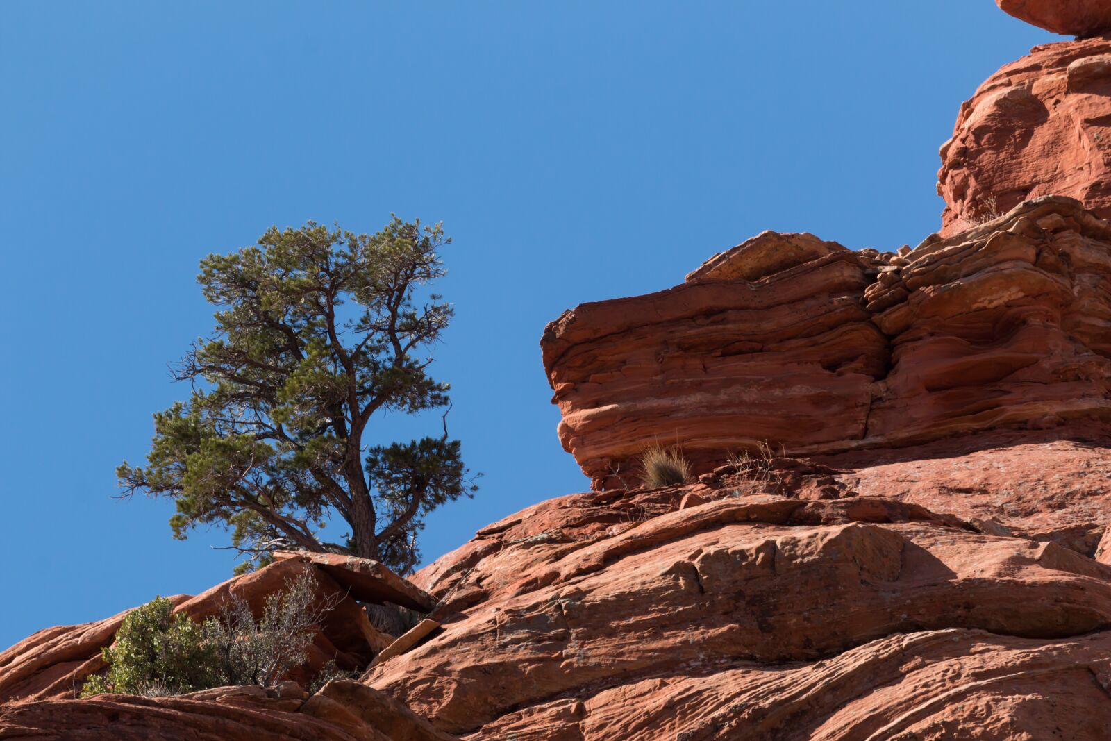 Canon EOS 70D + Canon EF 100-400mm F4.5-5.6L IS II USM sample photo. Tree, cliff, southwest photography