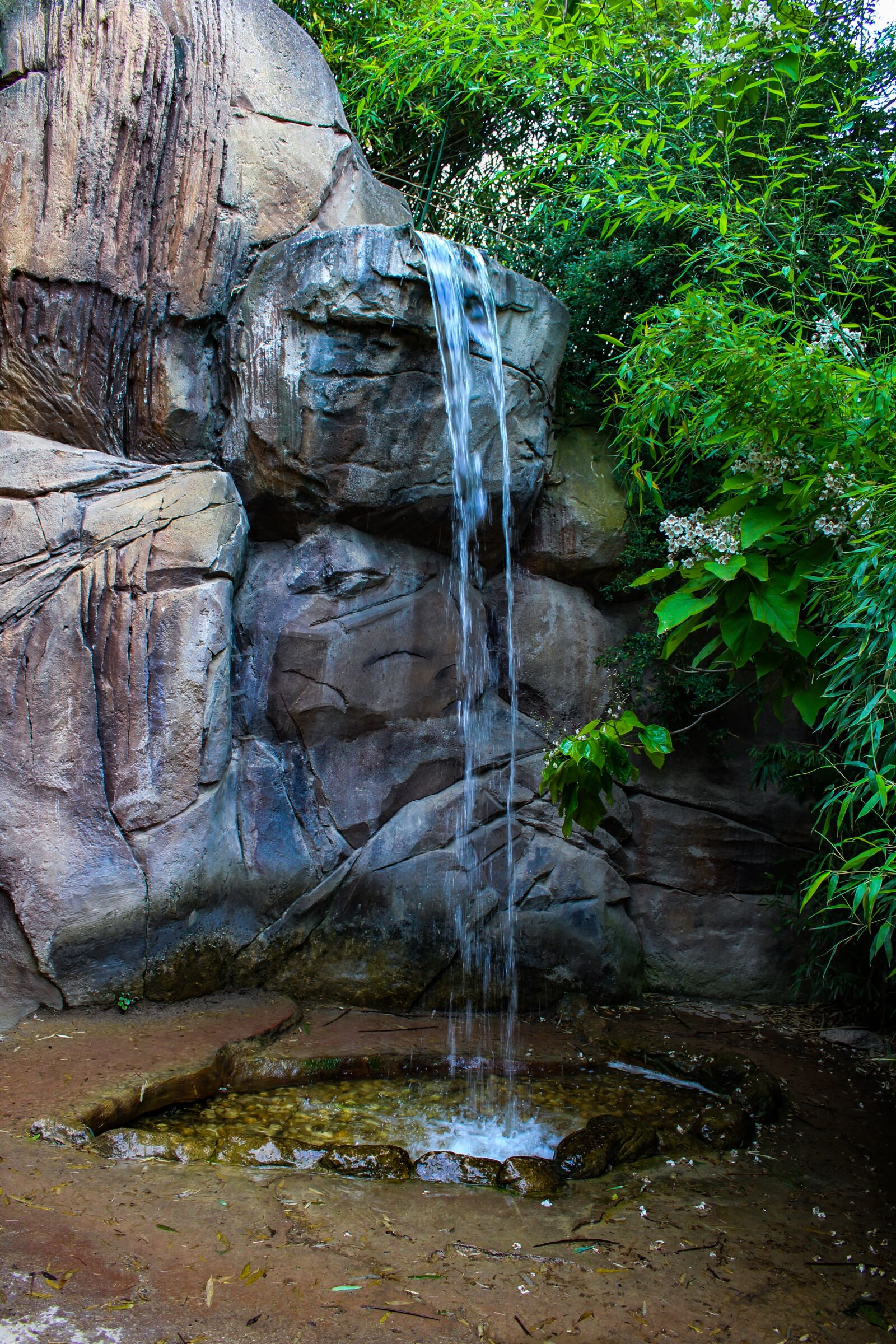 Canon EOS 1300D (EOS Rebel T6 / EOS Kiss X80) sample photo. Mini waterfall, nature, beauty photography