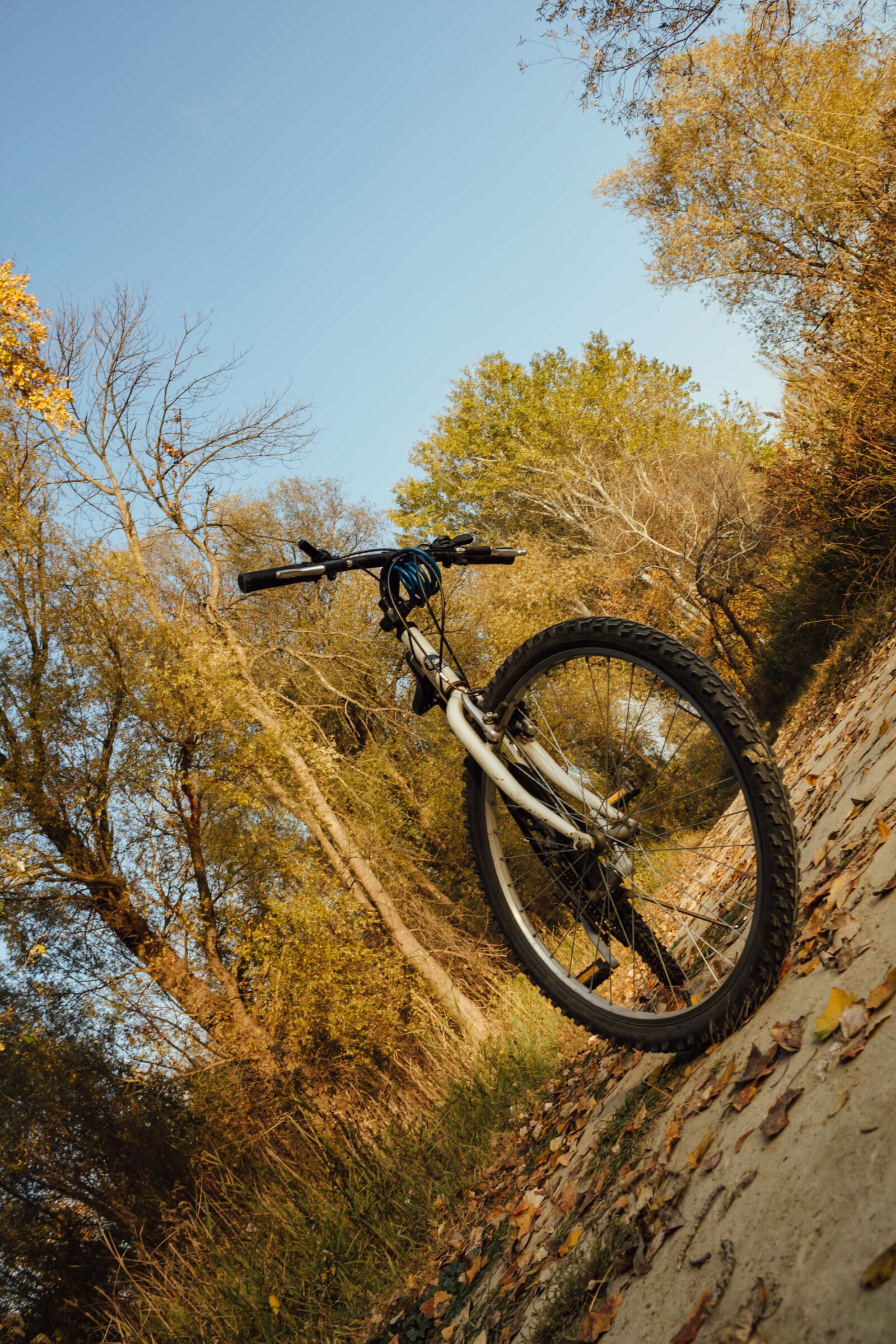 Canon EF-S 18-55mm F3.5-5.6 IS sample photo. Mountain bike, forest road photography