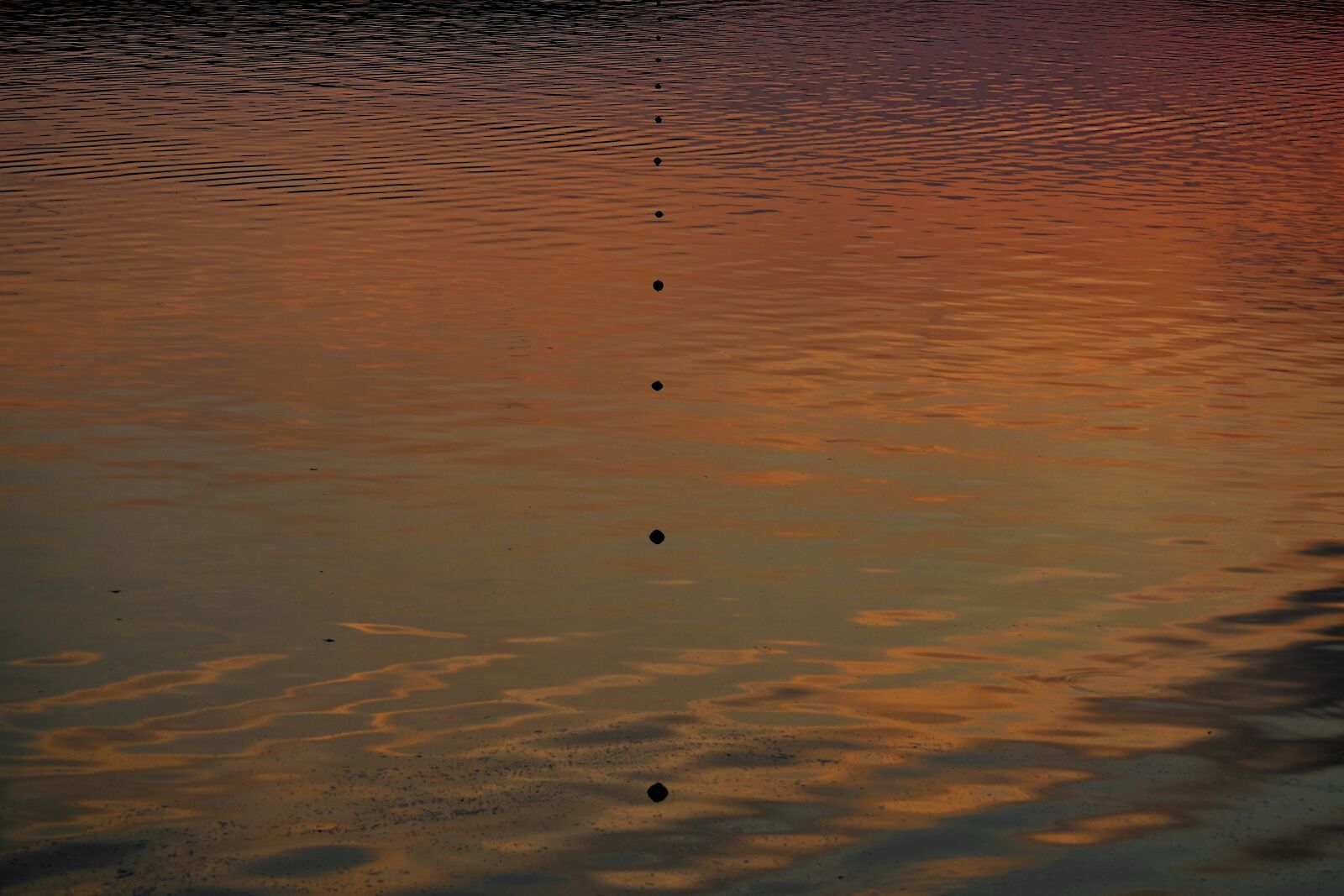 Nikon D5500 sample photo. Calm, colorful, reflection, sunset photography