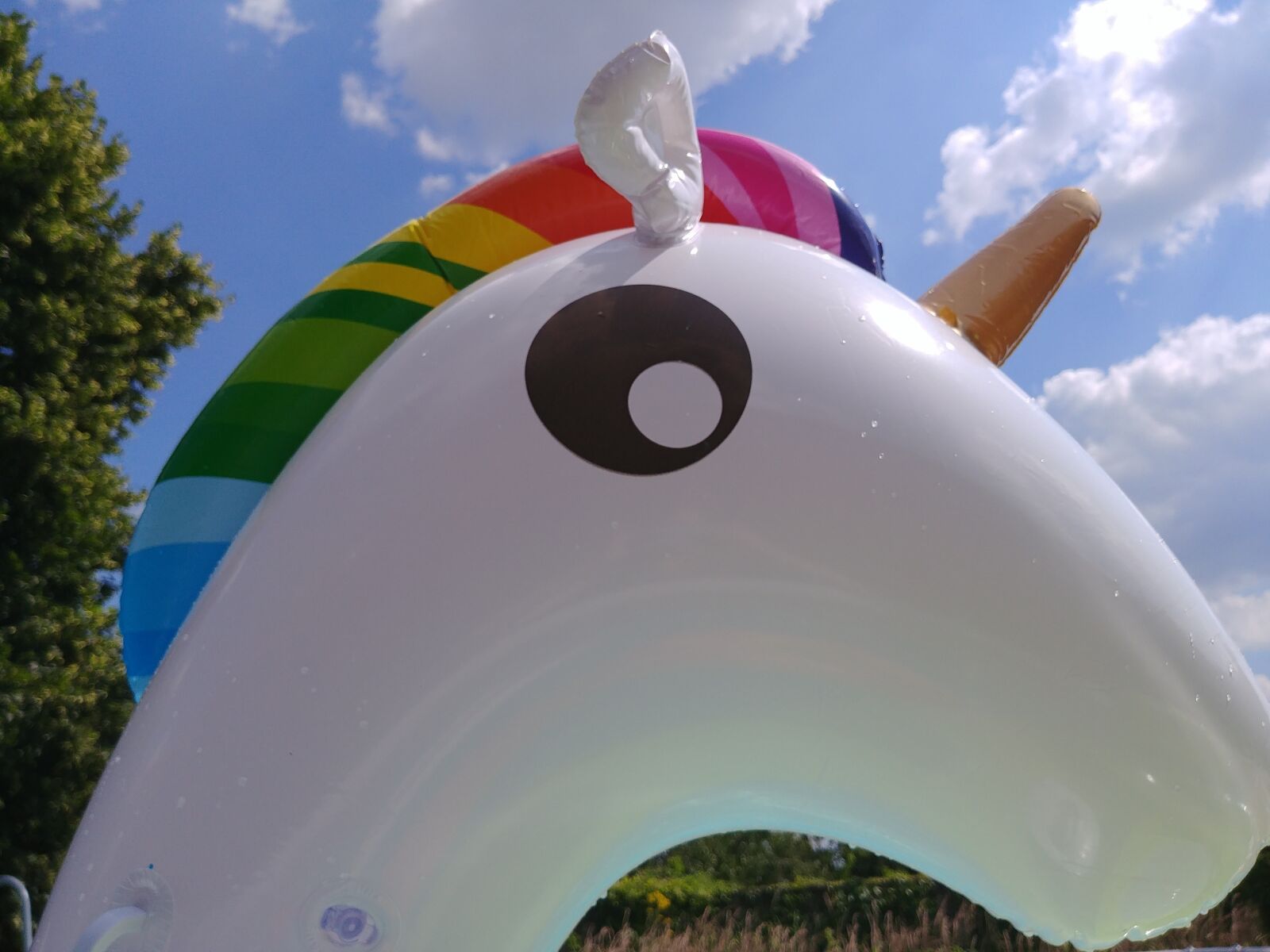 LG G6 sample photo. Summer, unicorn, fantasy photography