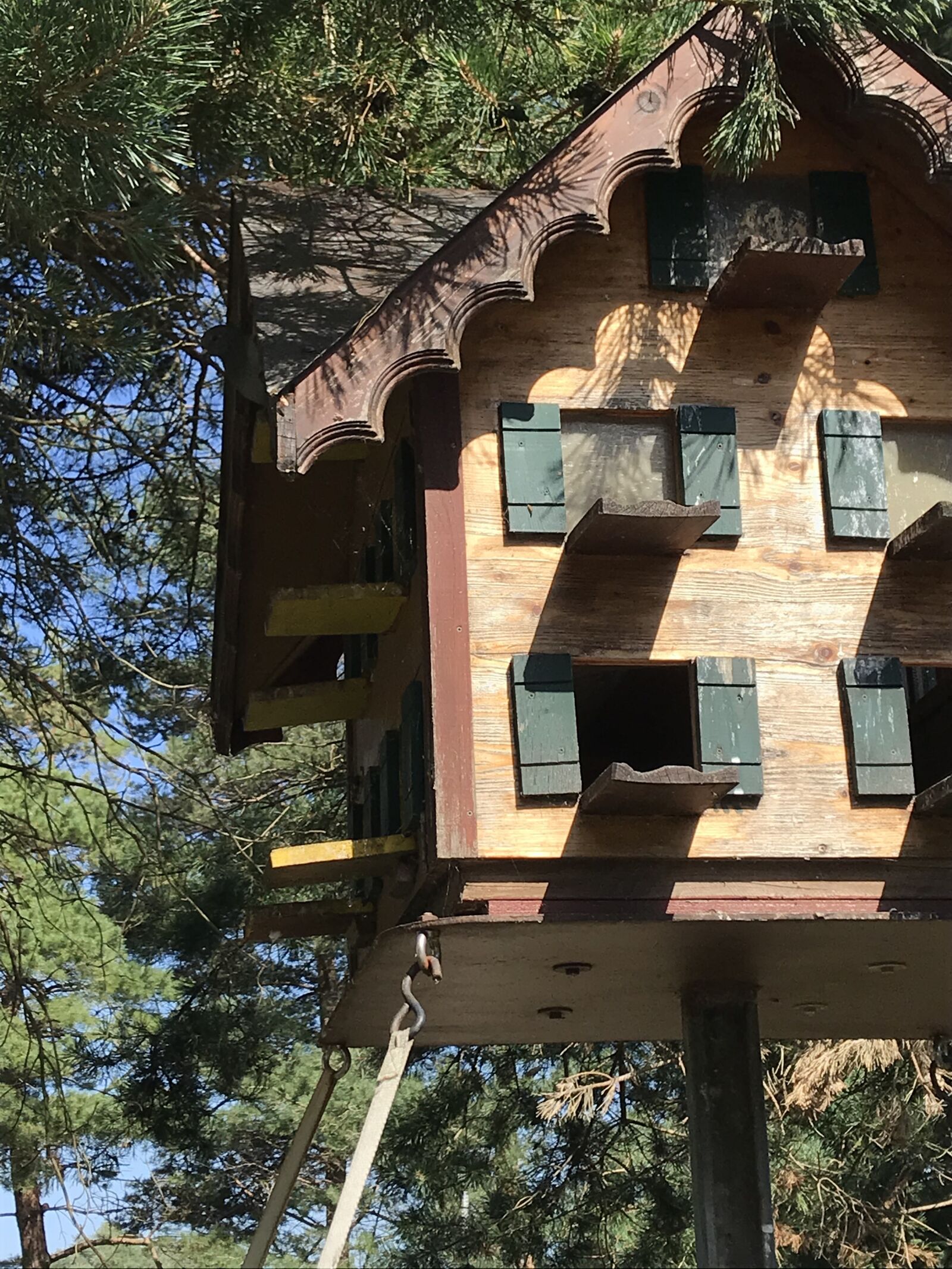 iPhone 7 back camera 3.99mm f/1.8 sample photo. Pigeon house, house, dove photography