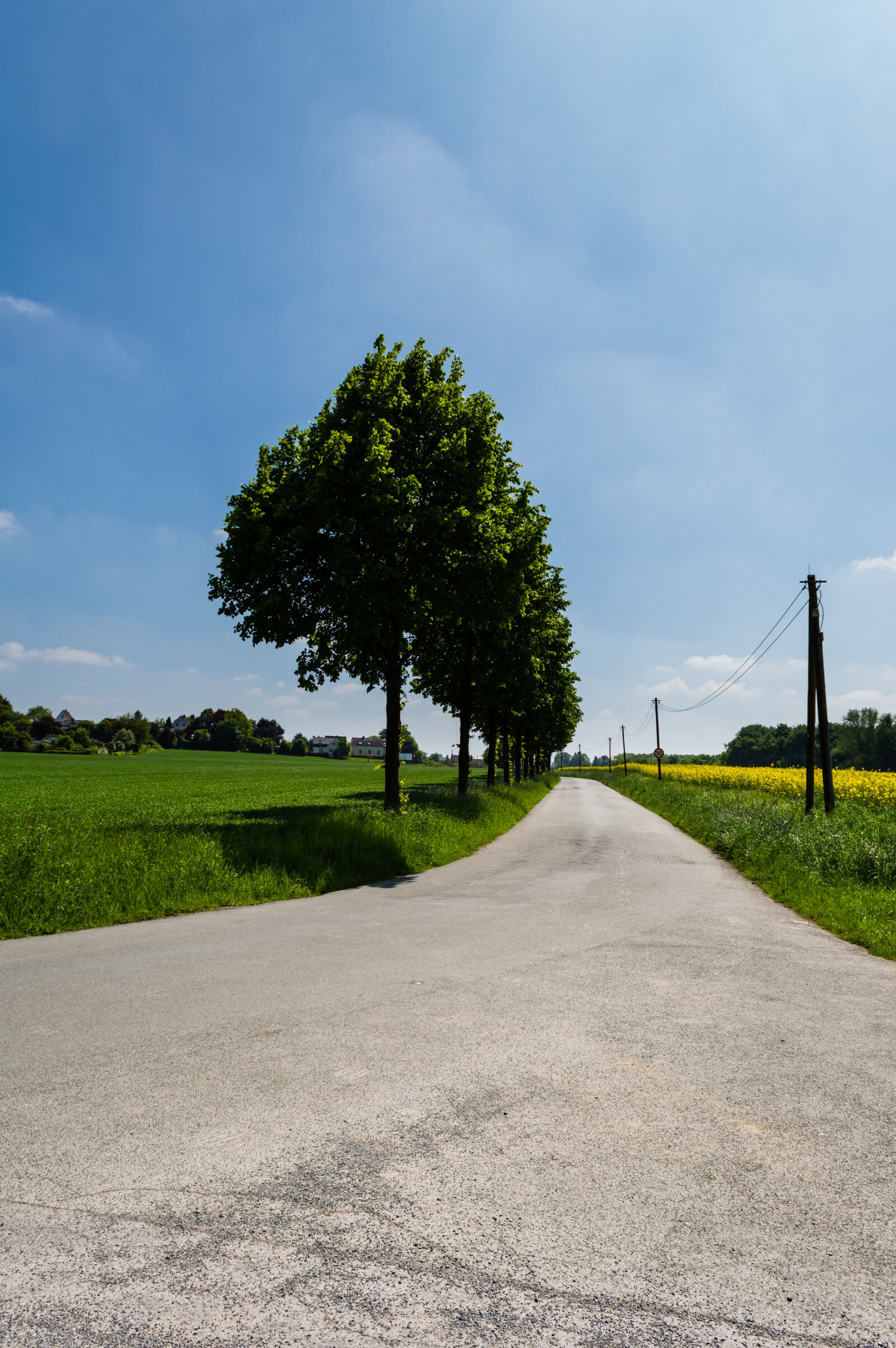 Nikon D3200 sample photo