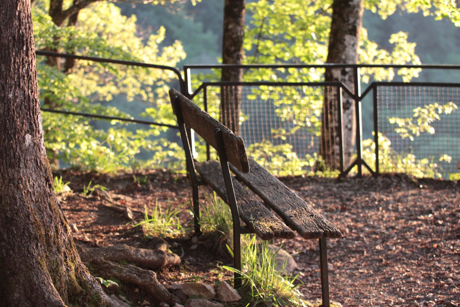 Canon EOS 600D (Rebel EOS T3i / EOS Kiss X5) sample photo. Bench, nature, solitude photography