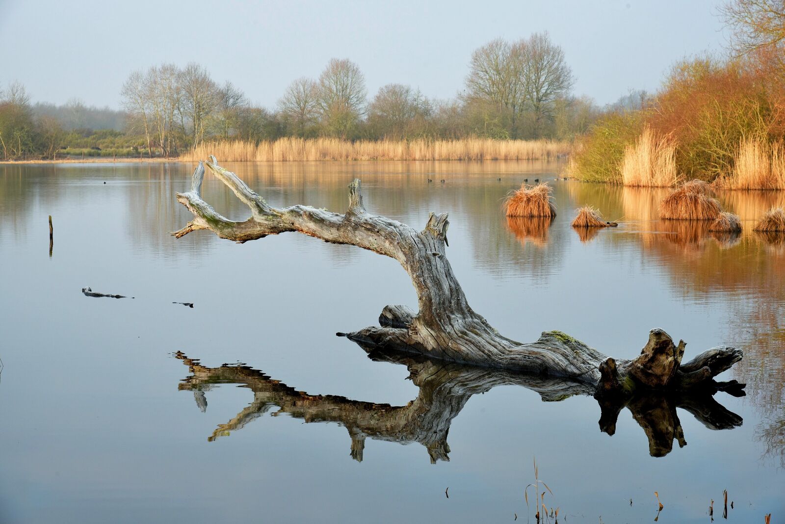 Nikon D750 sample photo. Body of water, nature photography
