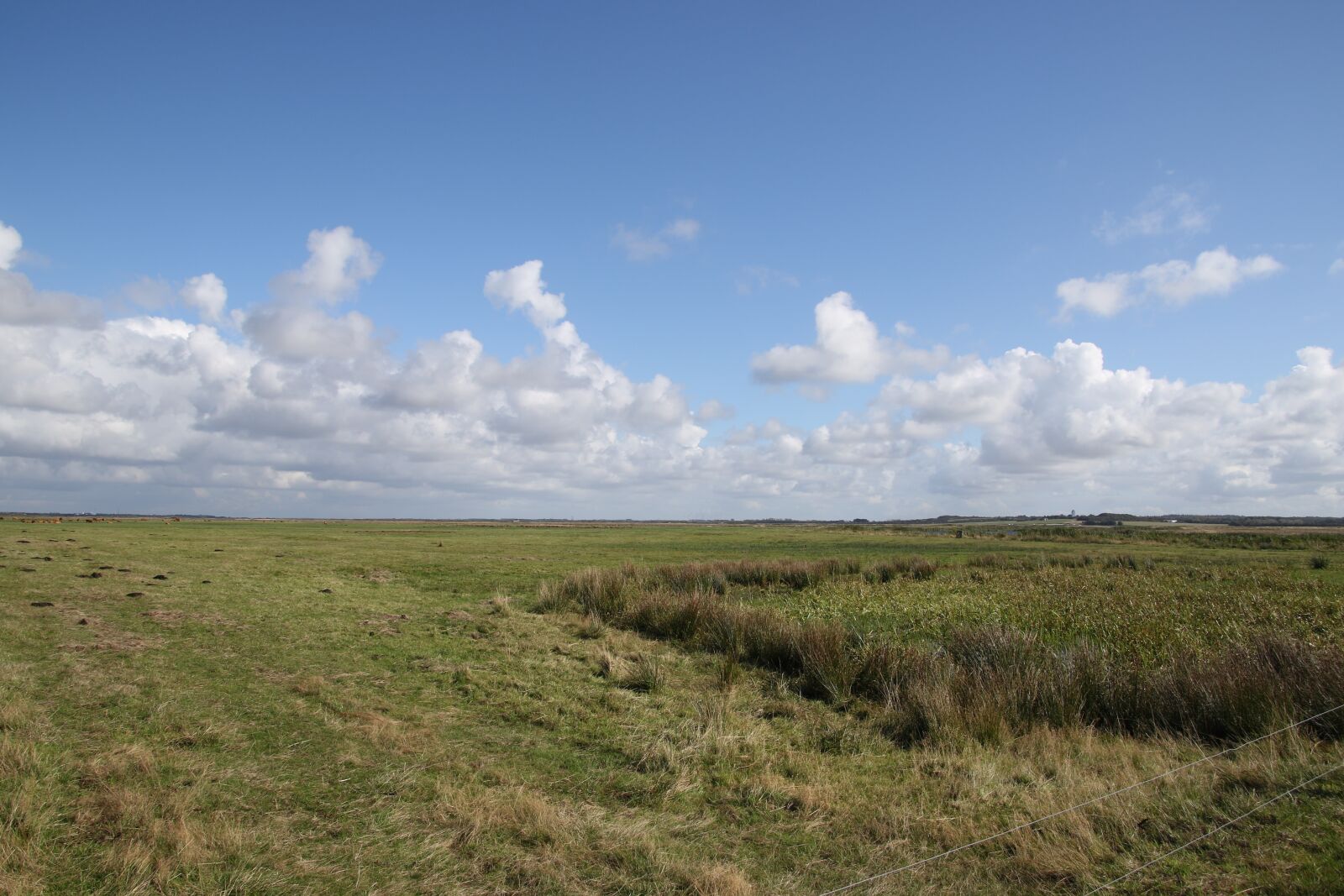 Canon EOS 7D Mark II sample photo. Landscape, clouds, blue photography