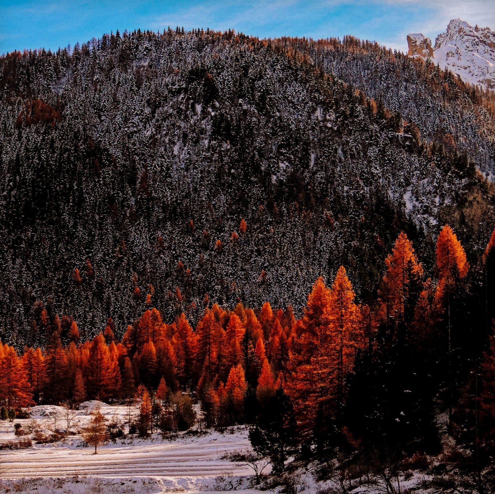 Nikon Coolpix P520 sample photo. Valle stretta, piemonte, italy photography