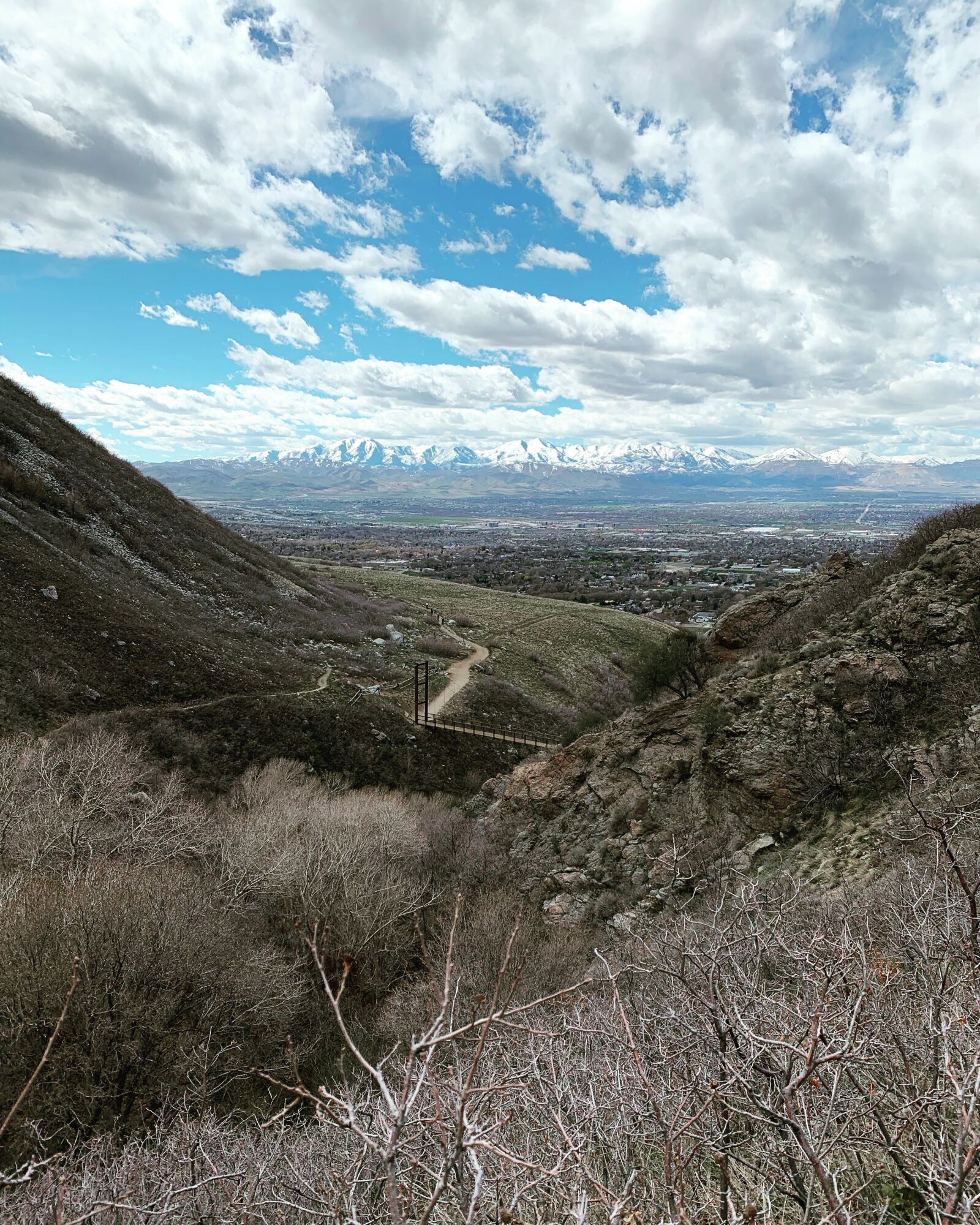 Apple iPhone XR sample photo. Bear, canyon, utah photography
