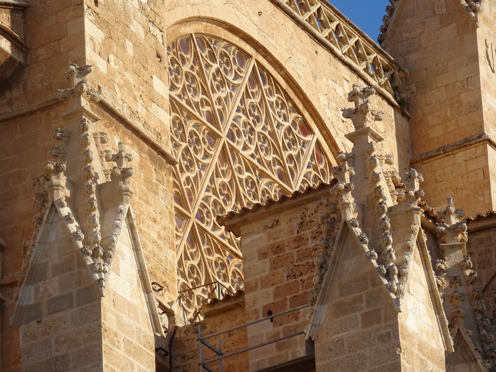 Sony Cyber-shot DSC-WX350 sample photo. Cathedral, palma, mallorca photography