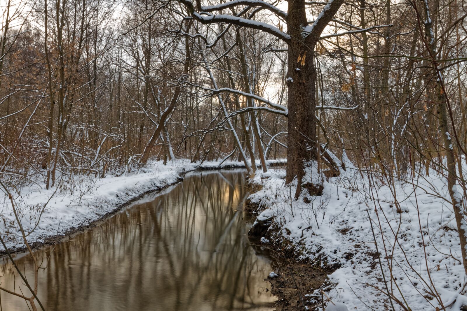 Canon EOS 500D (EOS Rebel T1i / EOS Kiss X3) sample photo. Winter, river, beach photography