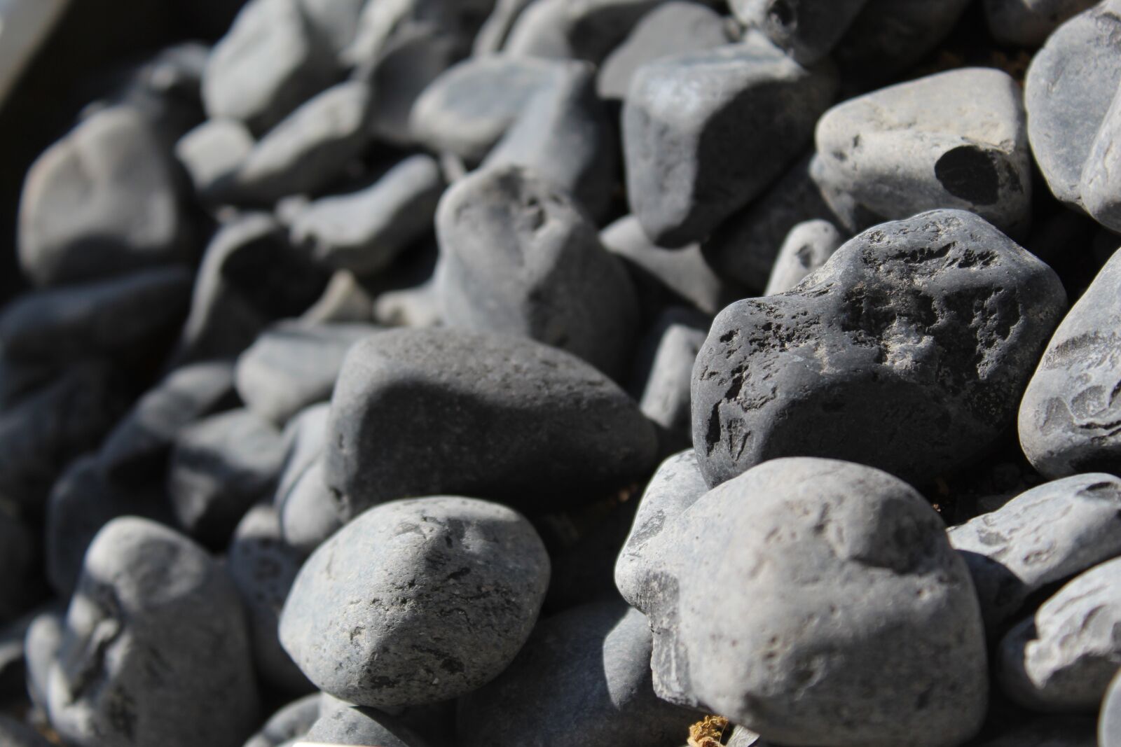 Canon EOS 4000D (EOS Rebel T100 / EOS 3000D) sample photo. Pebbles, stones, nature photography