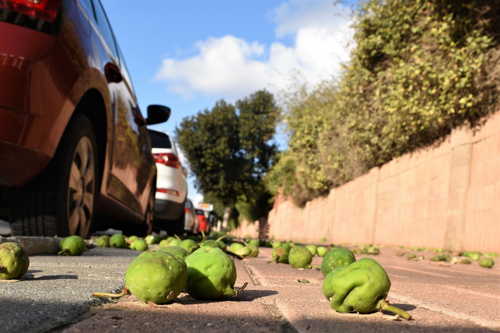 Nikon D5600 sample photo. Cars, road, city photography