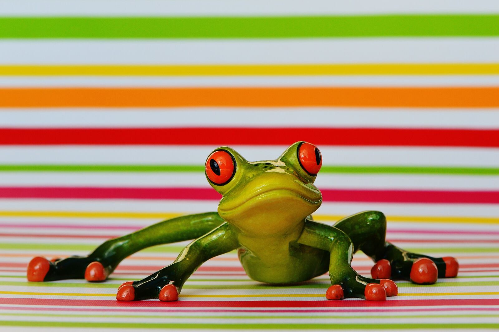 Nikon D3200 sample photo. Frog, funny, figure photography