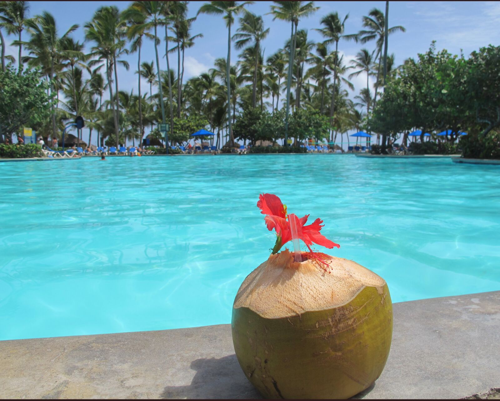Canon PowerShot G12 sample photo. Tropical summer, coconut, pool photography