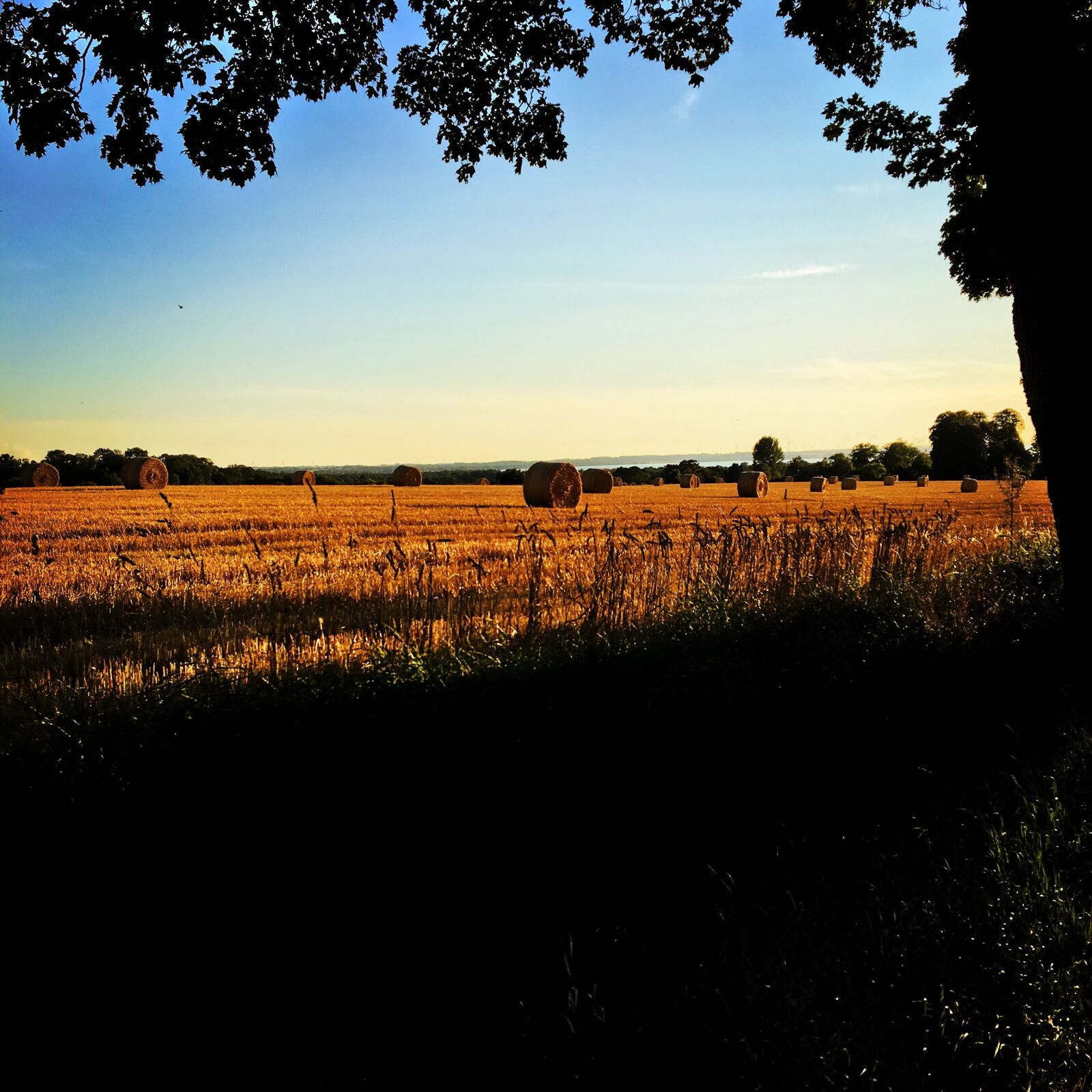 Apple iPhone 6s sample photo. Field, go, sunset photography