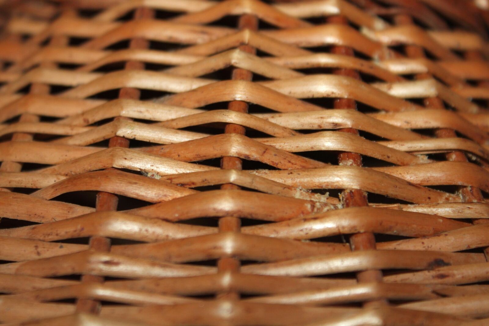 Canon EOS 500D (EOS Rebel T1i / EOS Kiss X3) sample photo. Wicker basket, bamboo, pattern photography