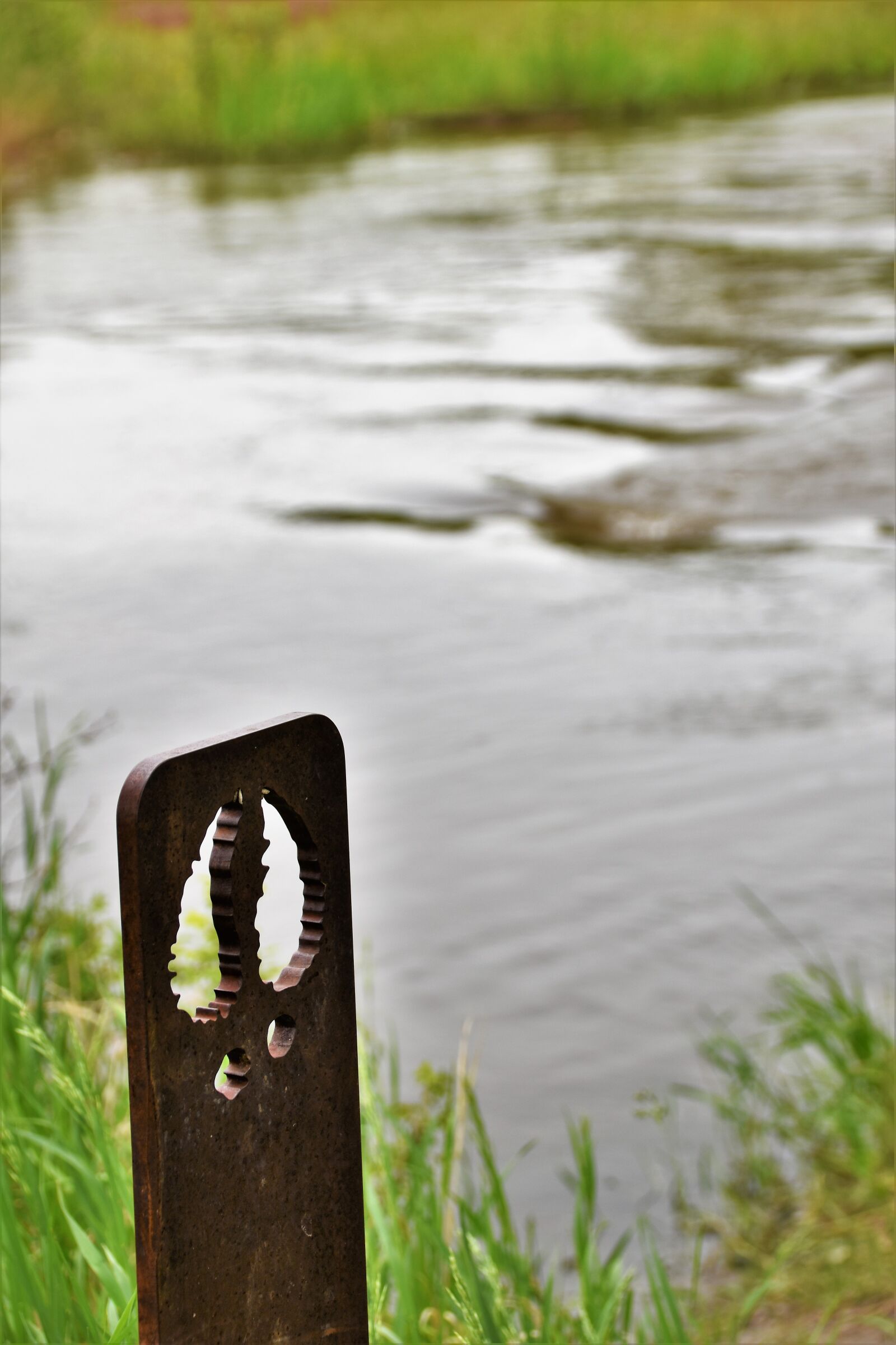 Nikon D5500 sample photo. Footprint, hoof, metal, water photography
