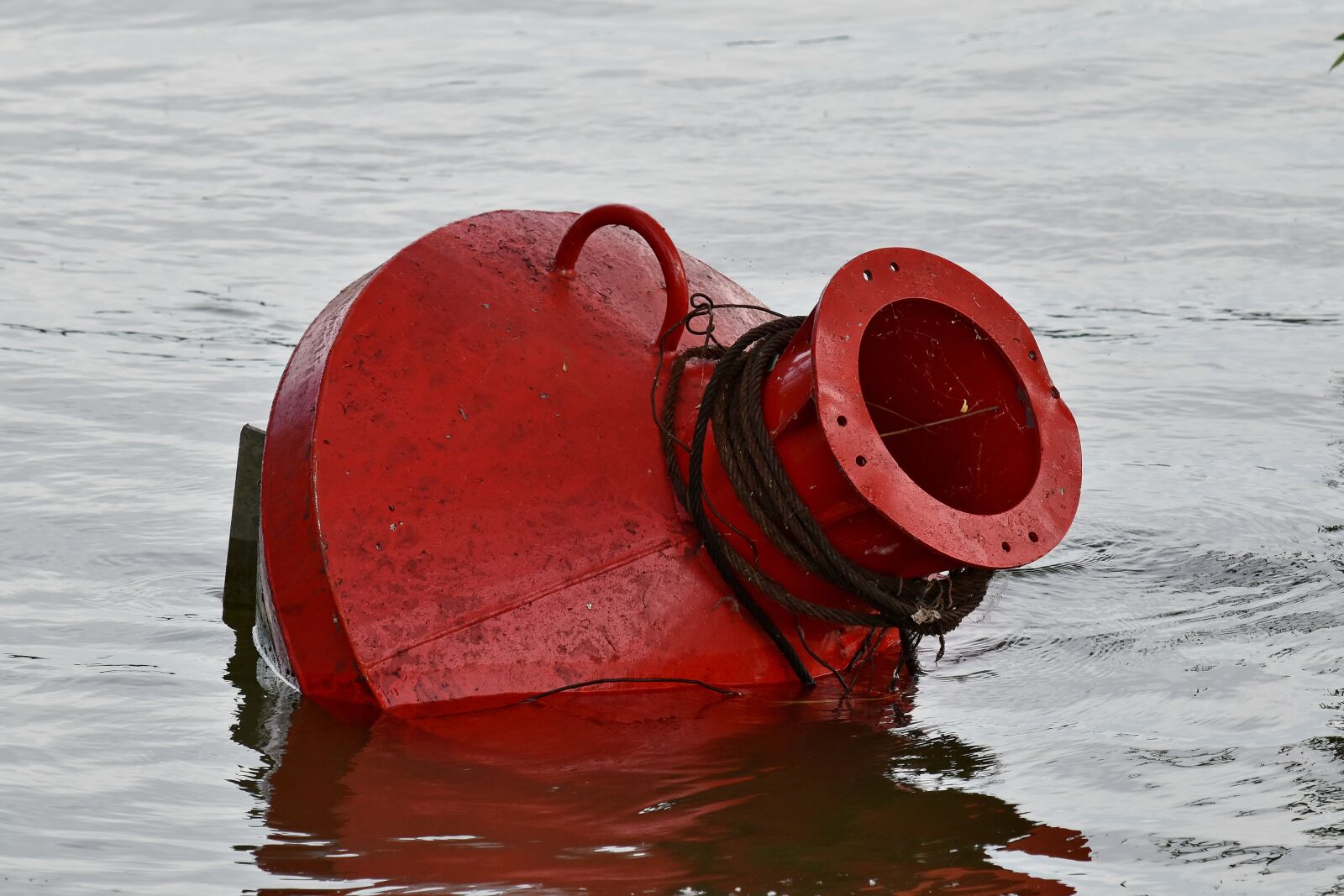 Nikon D5500 sample photo. Buoy, float, floating, red photography