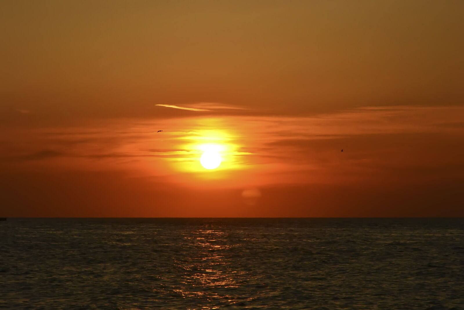 Nikon D3100 sample photo. Solar, round, circle photography