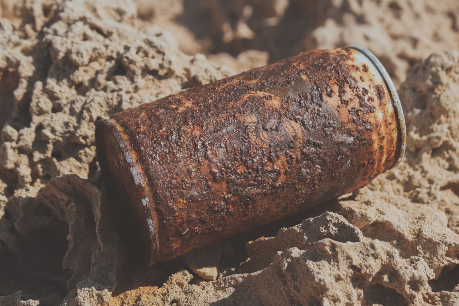 Nikon D3300 sample photo. Can, empty, rusty photography