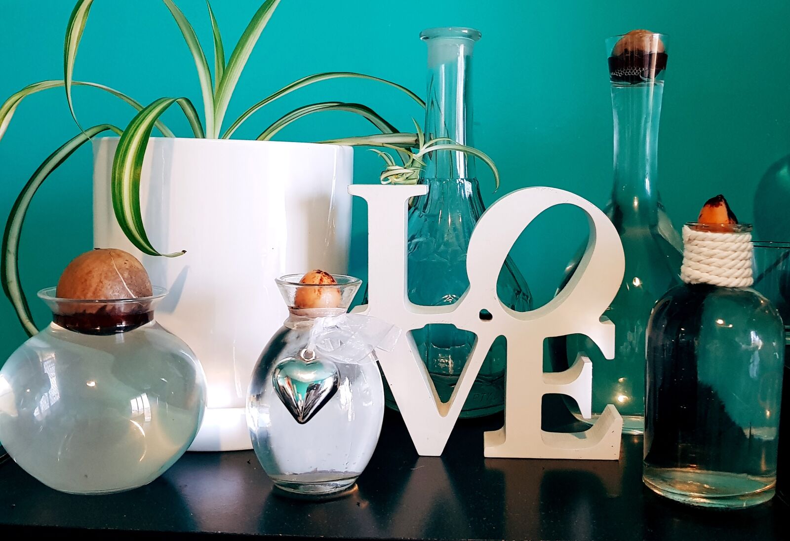 Samsung Galaxy S8 sample photo. Decor, love, plant photography