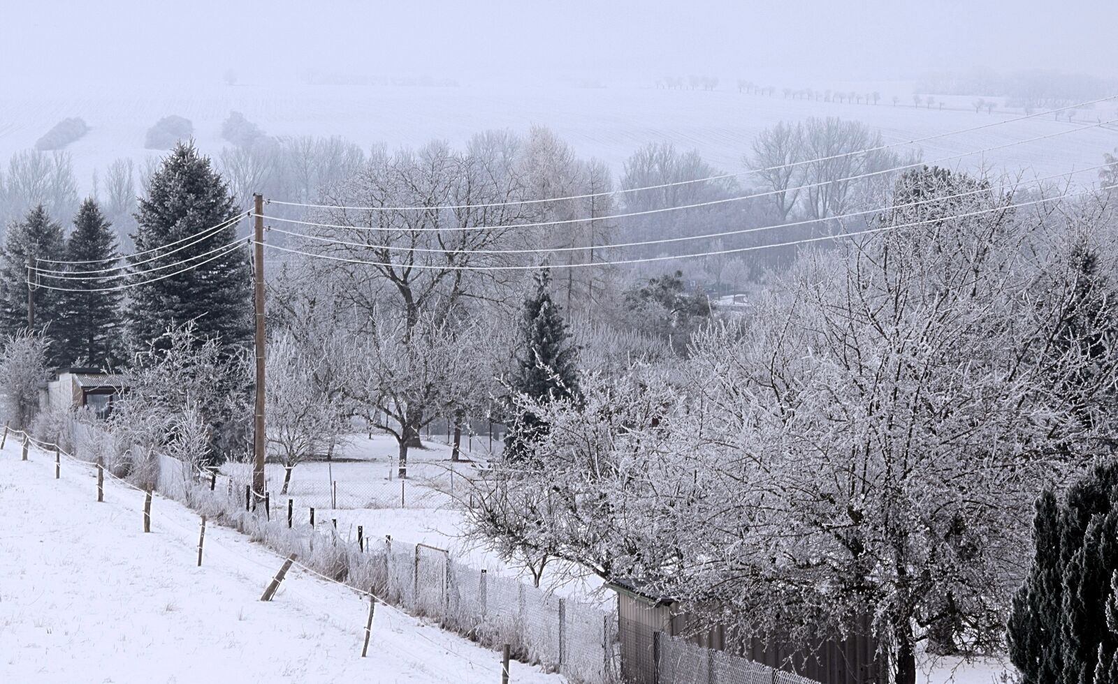 Nikon D3300 sample photo. Wintry, icy trees, fog photography