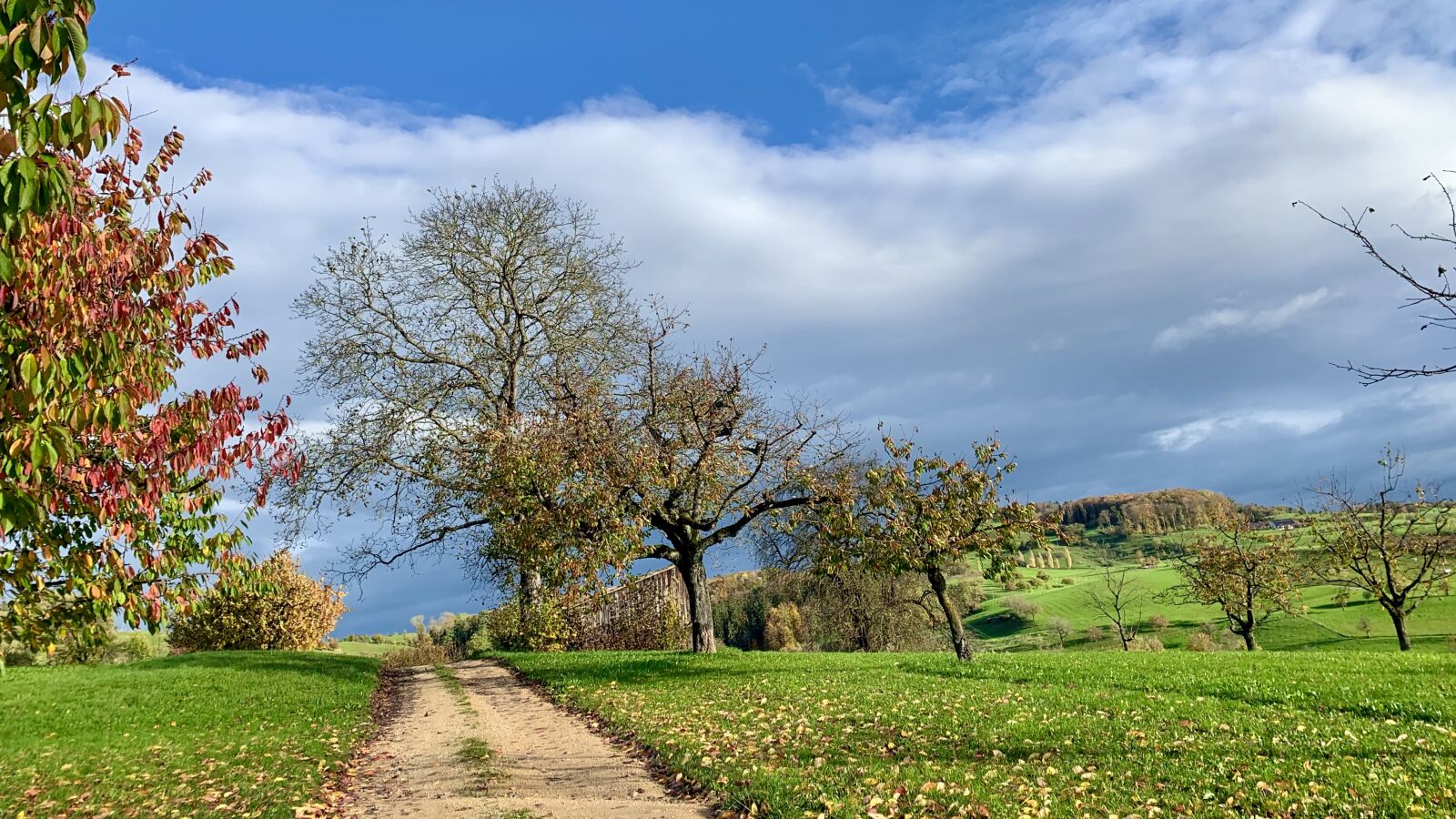 Apple iPhone XR sample photo. Away, autumn, landscape photography